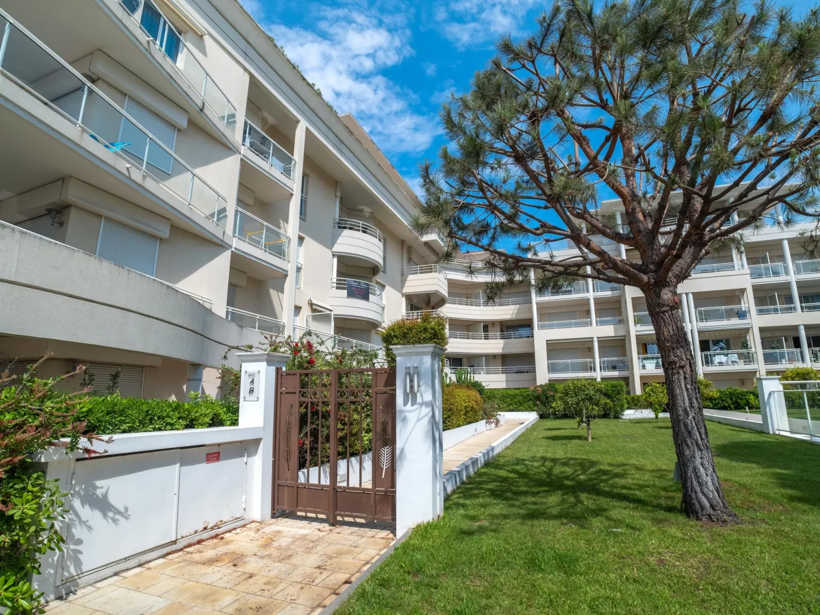 Royal Palm-Outside