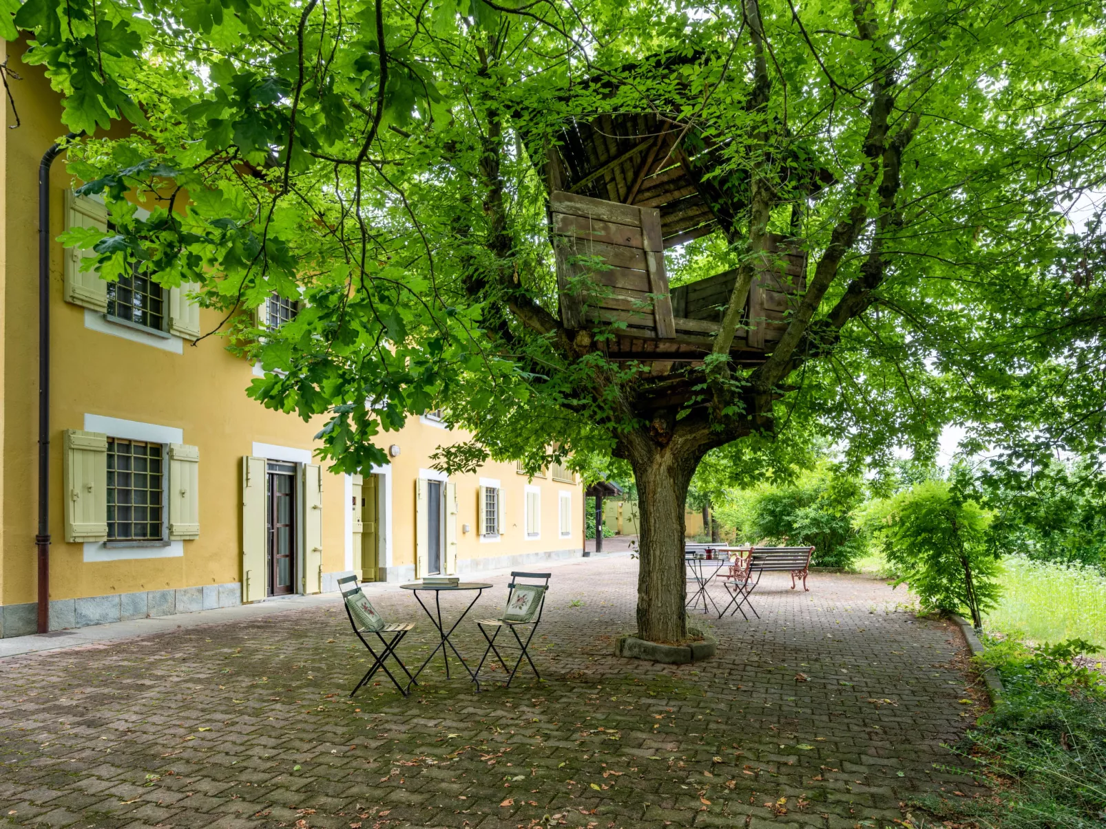 Giorgio Winery-Outside