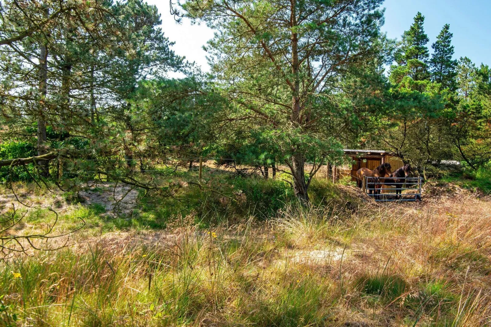 7 person holiday home in Rømø-View