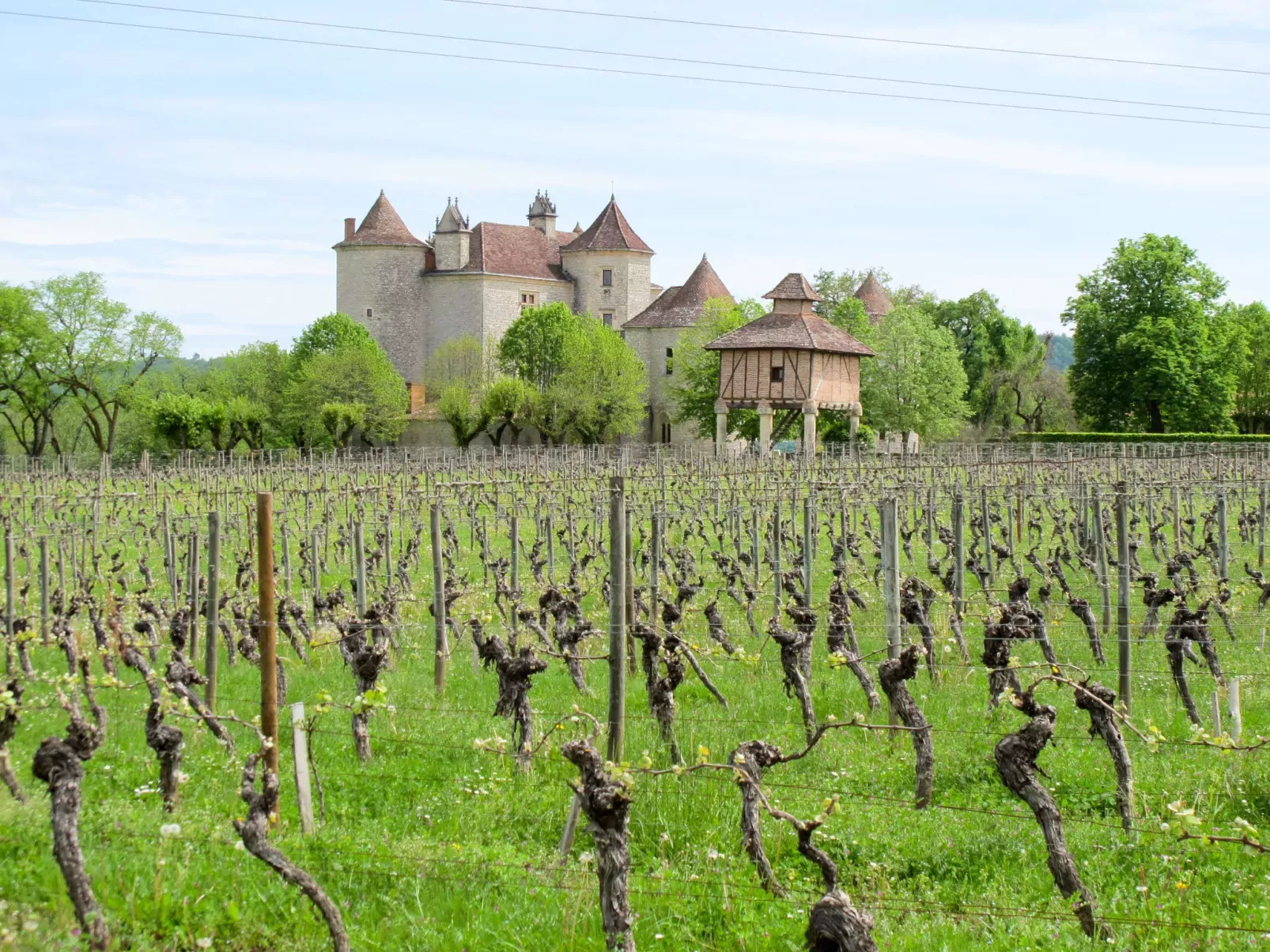 Le Mas de Serre-Area