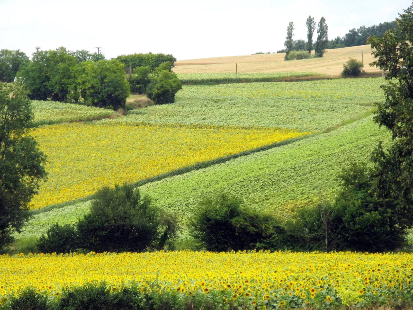 Marquefabe-Area
