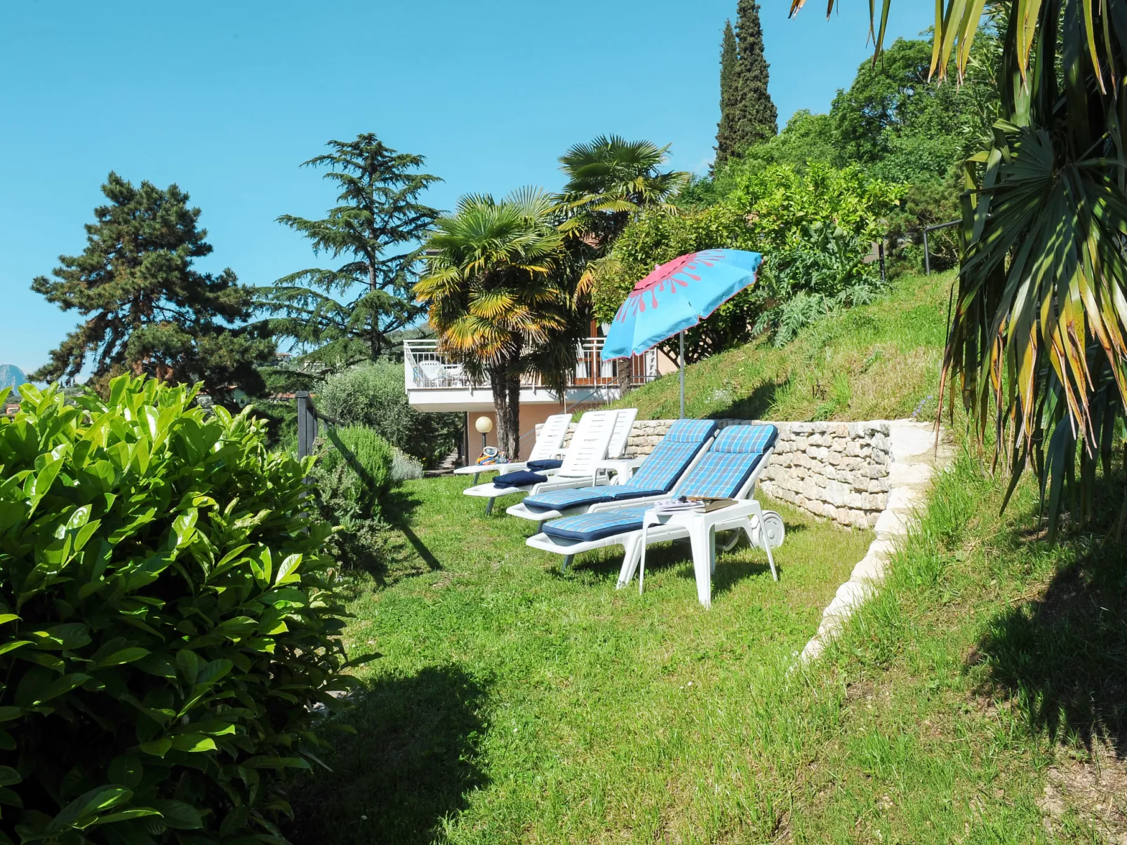 Belvedere-Dedans