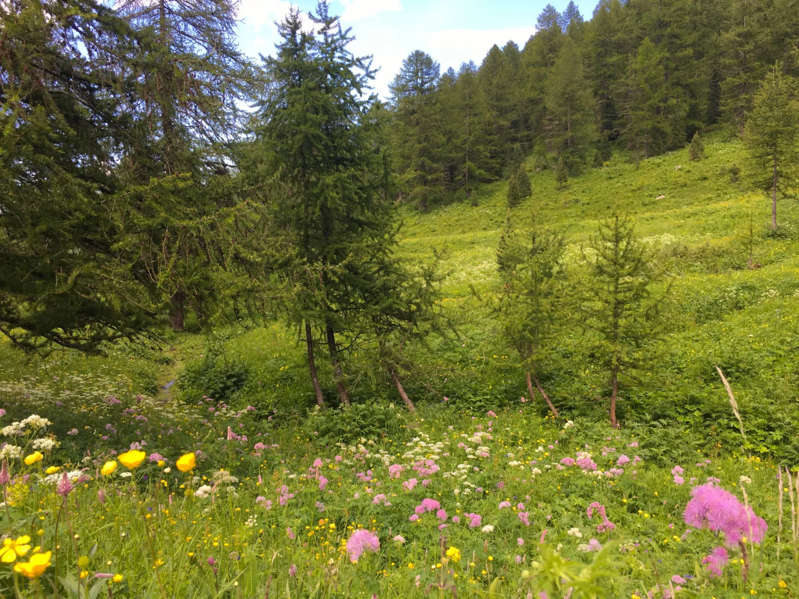 La Borgata-Environnement