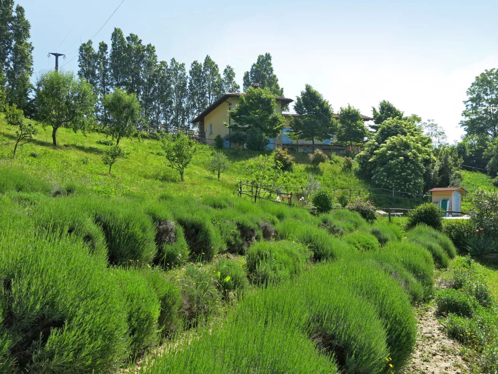 La Rovere-Outside
