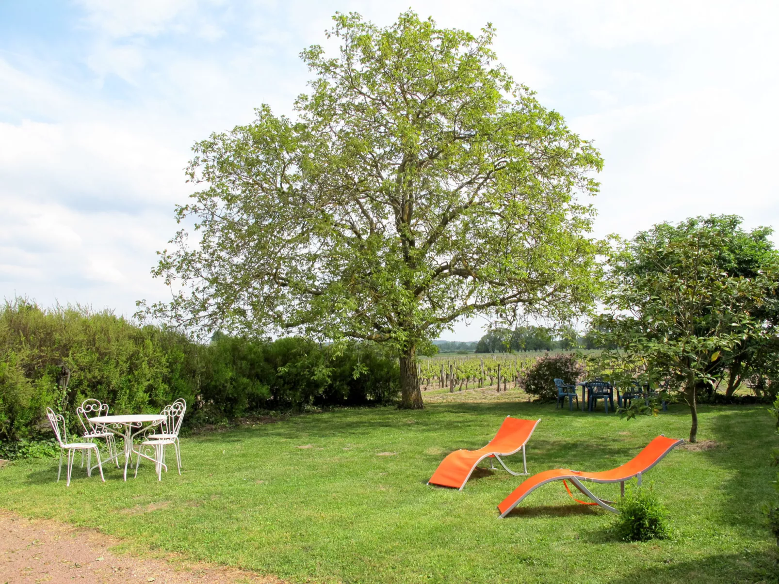 Les Mailloches