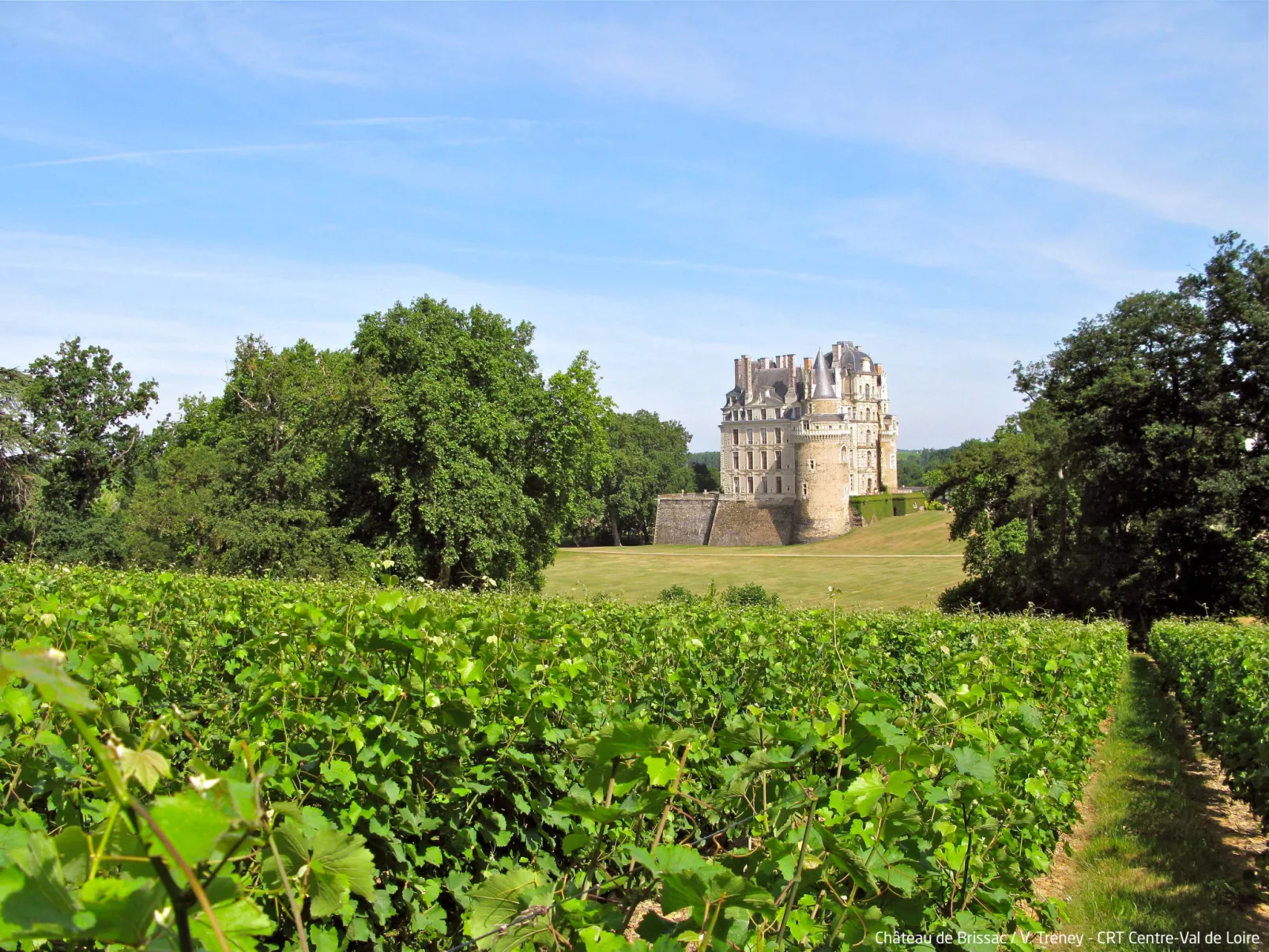 Les Mailloches-Area