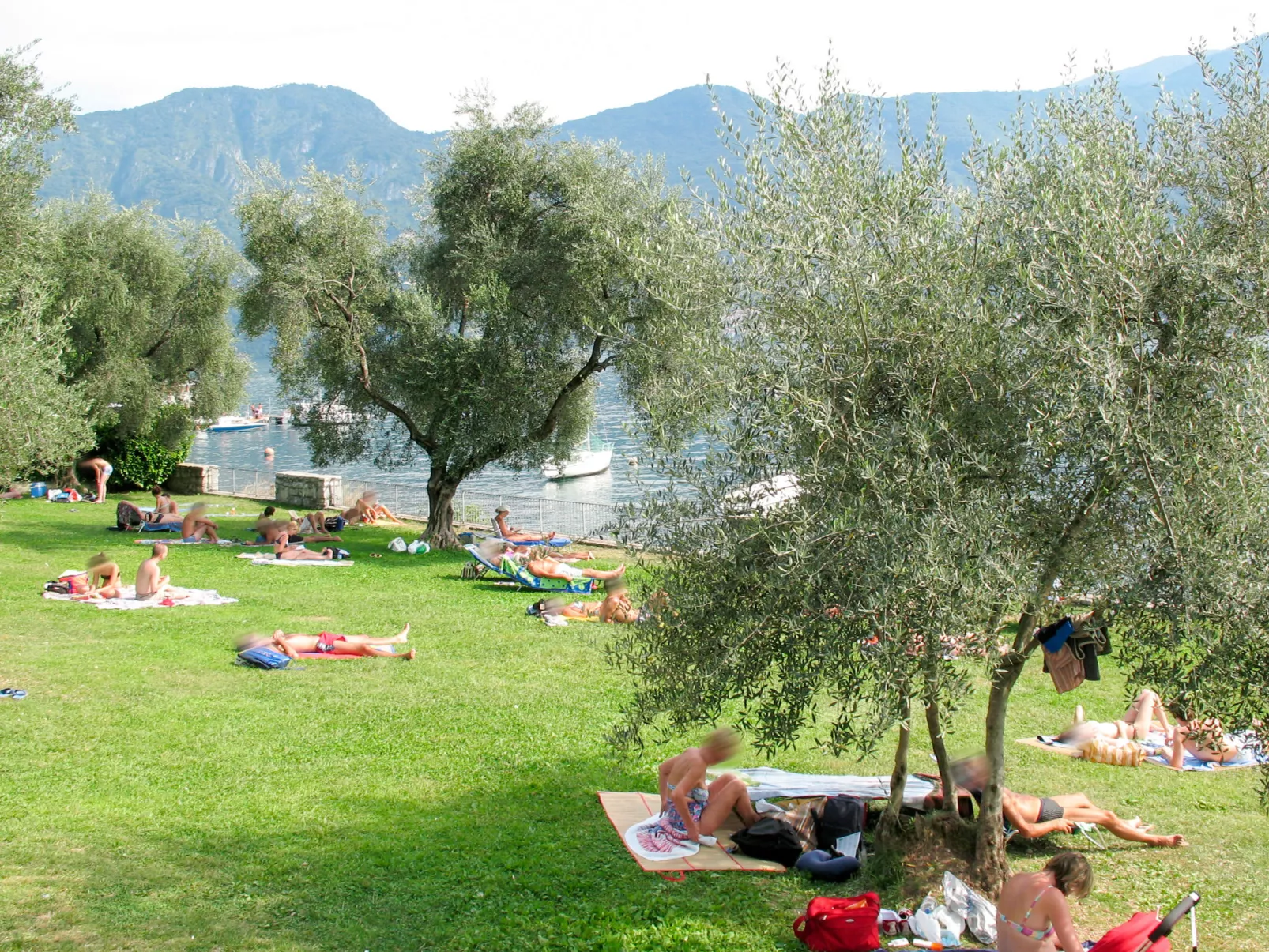 Villa Costanza-Environnement