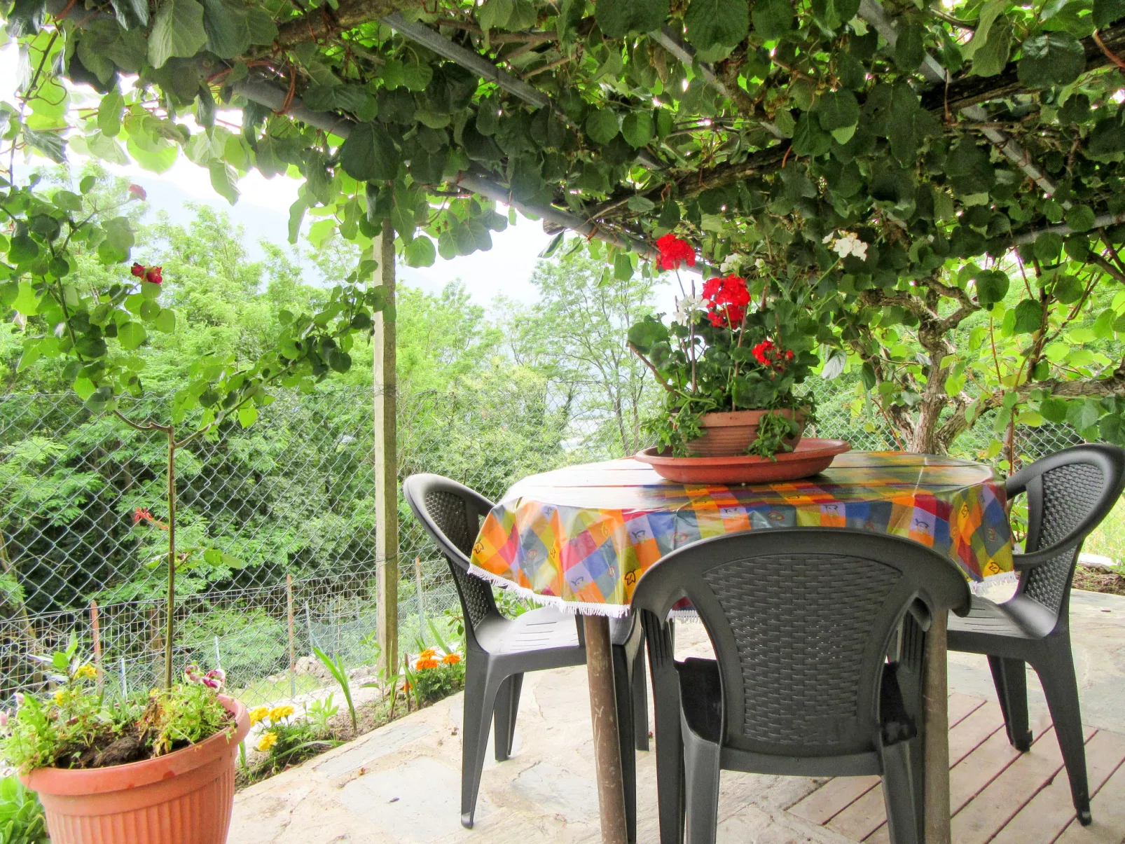 Casa Kiwi-Outside