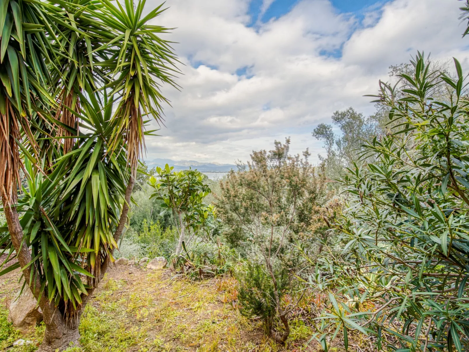 Villa Pavellone-Outside