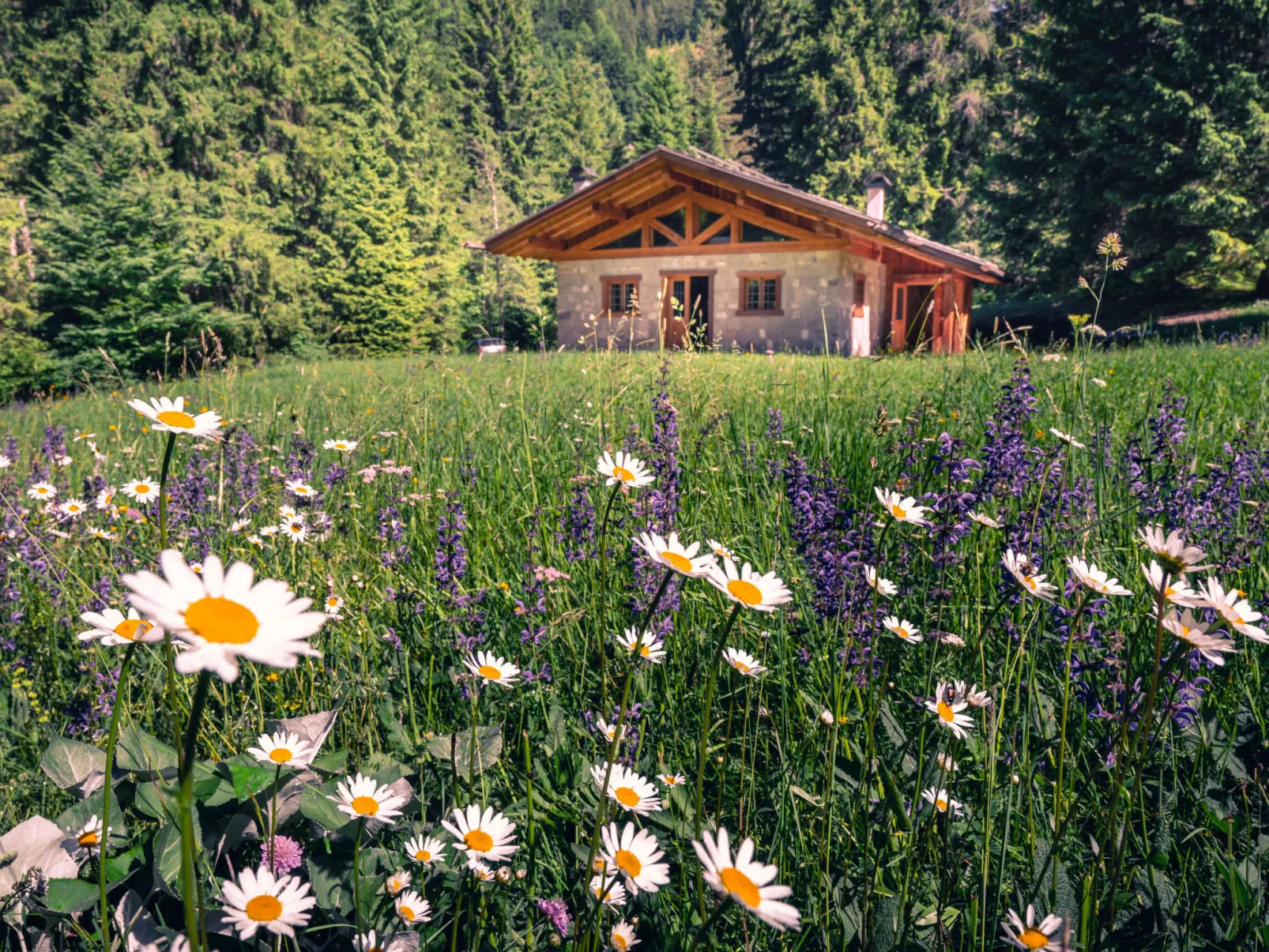 Baita Valon Alpine Hideaway-Outside
