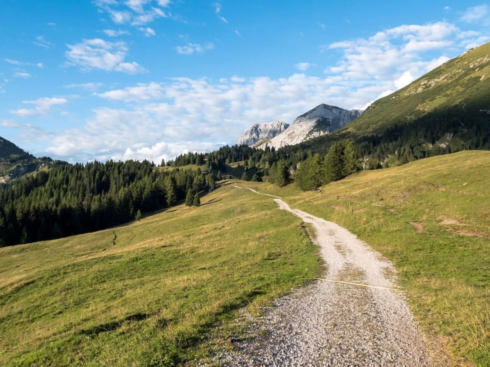 Baita Valon Alpine Hideaway-Area