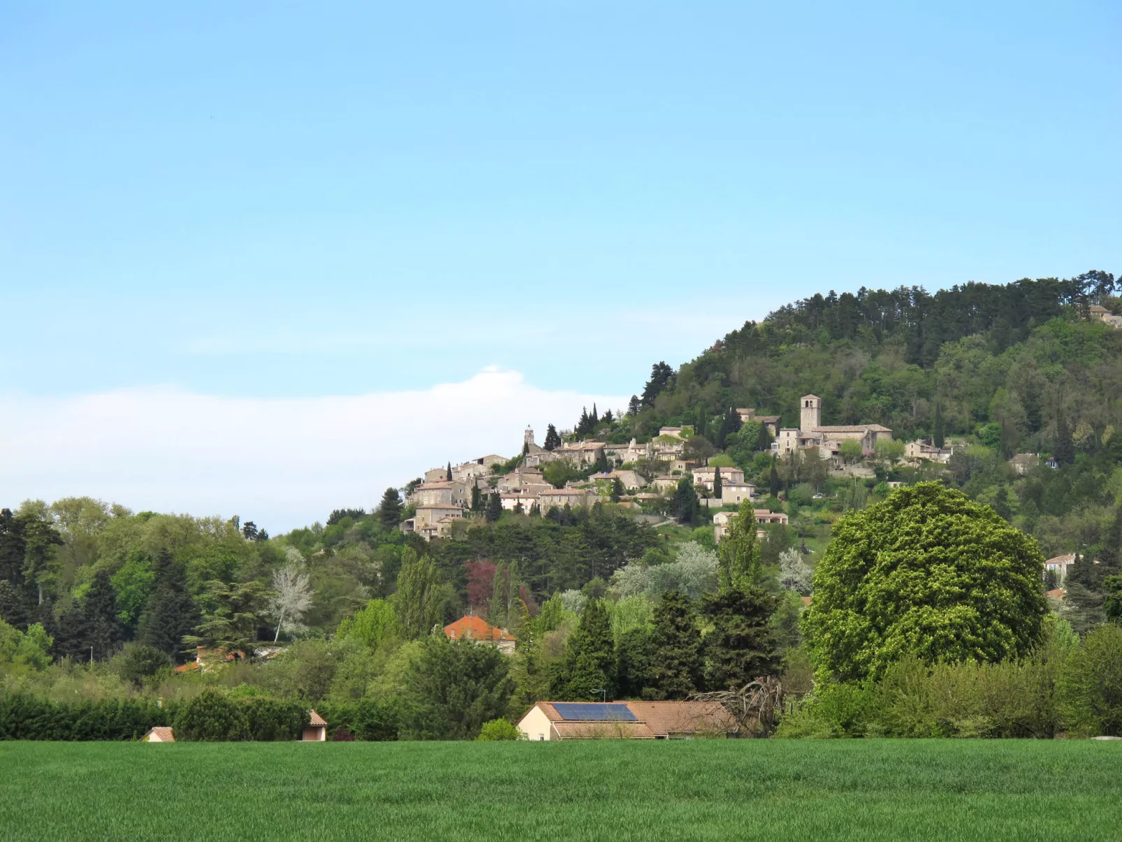 Marguerie-Area