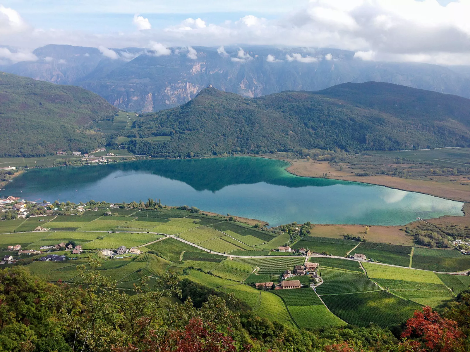 Bellavista-Area