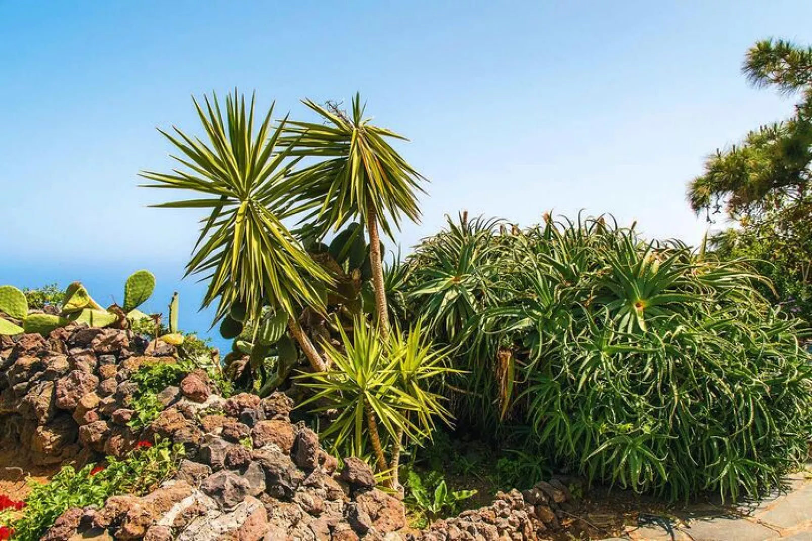 Finca La Hoya / 1-2 Personen-Gärten Sommer