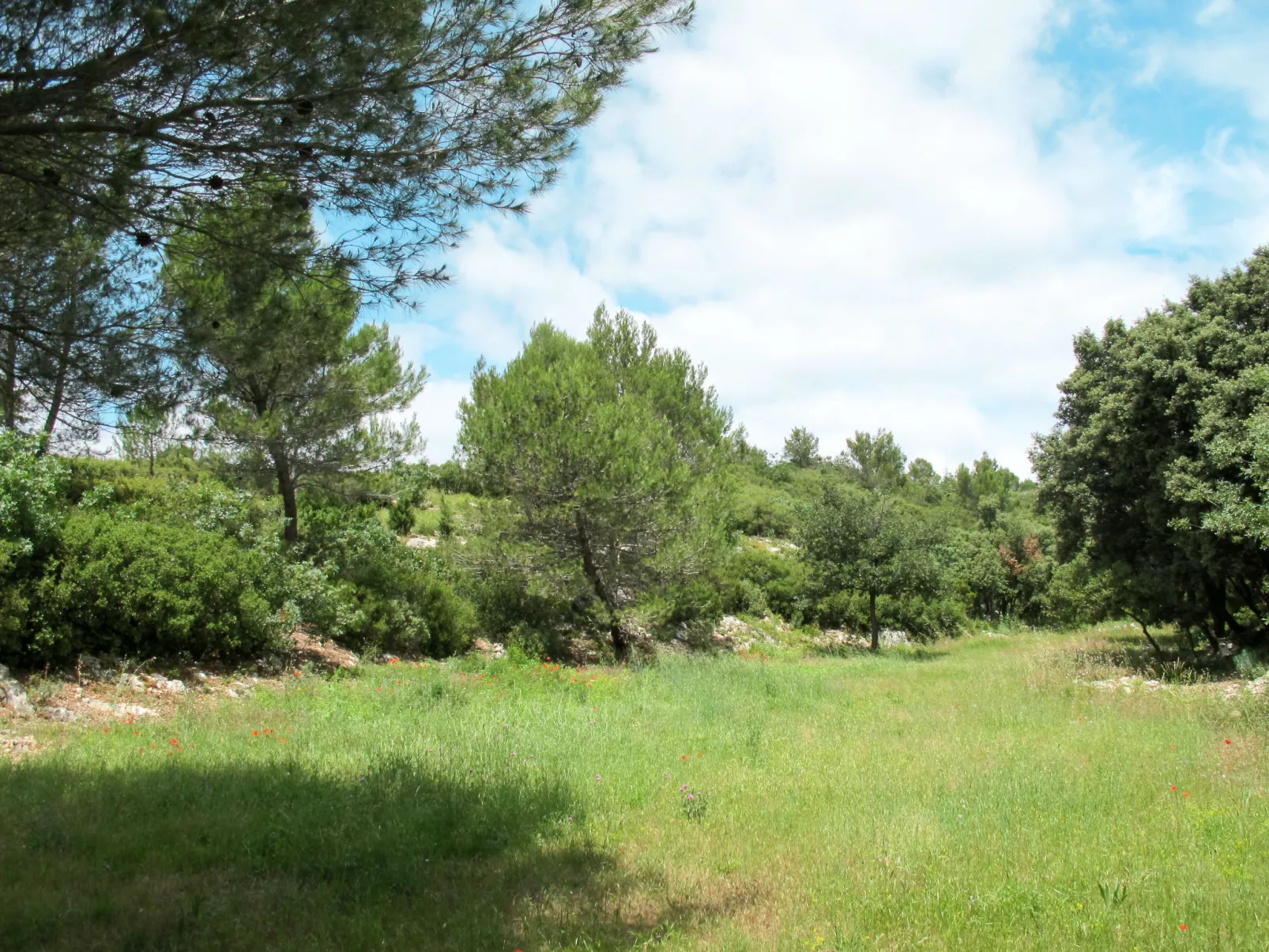 Les Garrigues d'Ozilhan-Outside