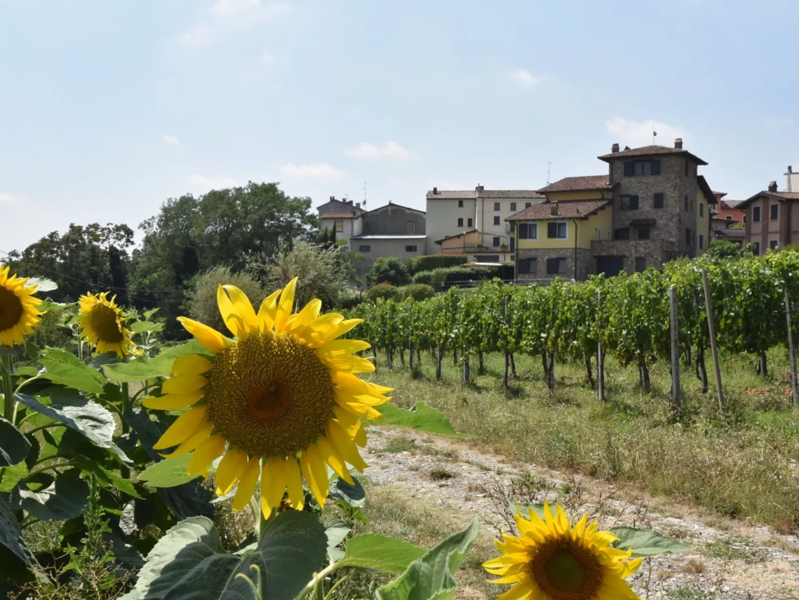 La Corte Bricca (Bilo C)-Draußen