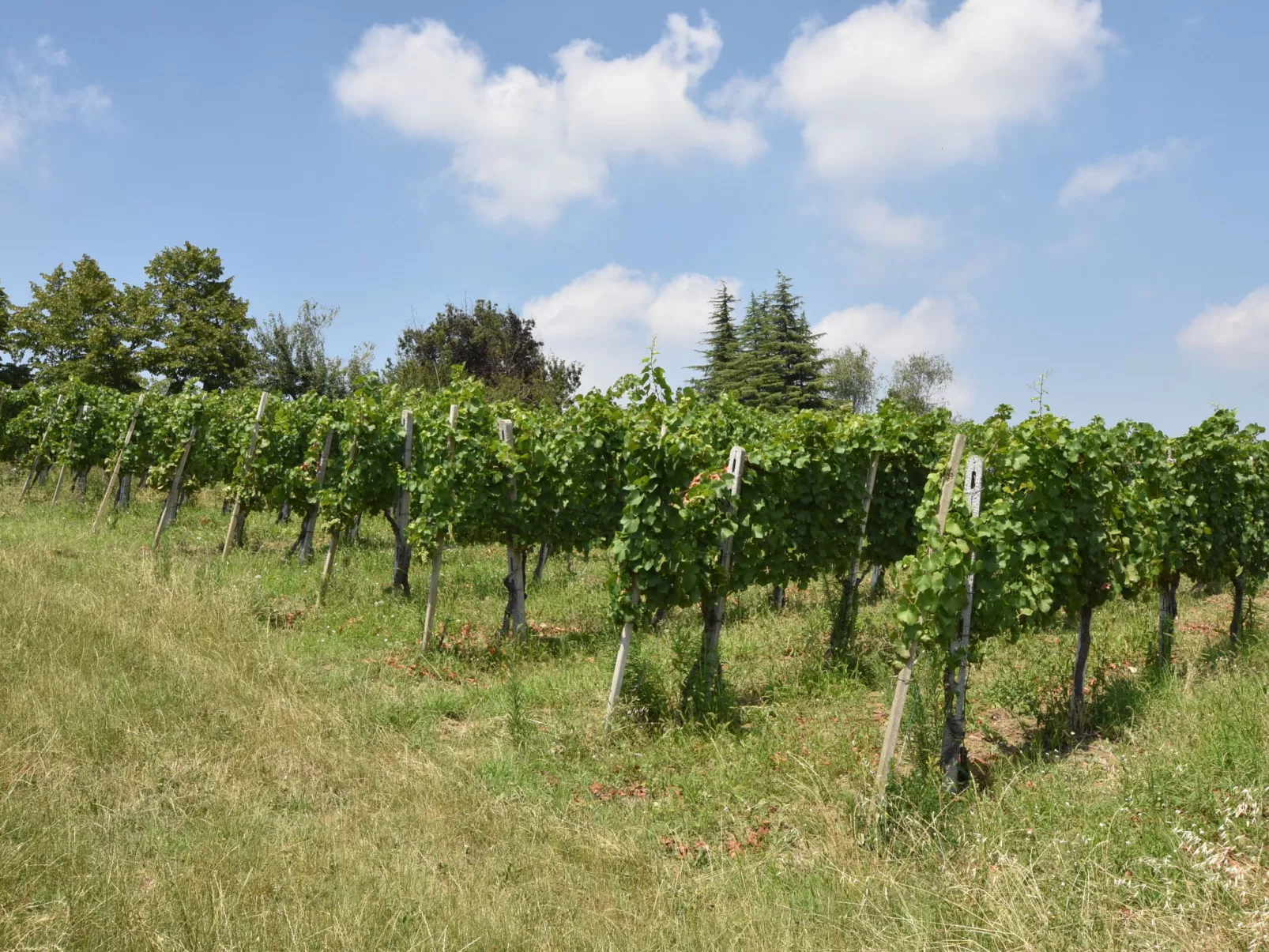 La Corte Bricca (Casetta)-Draußen