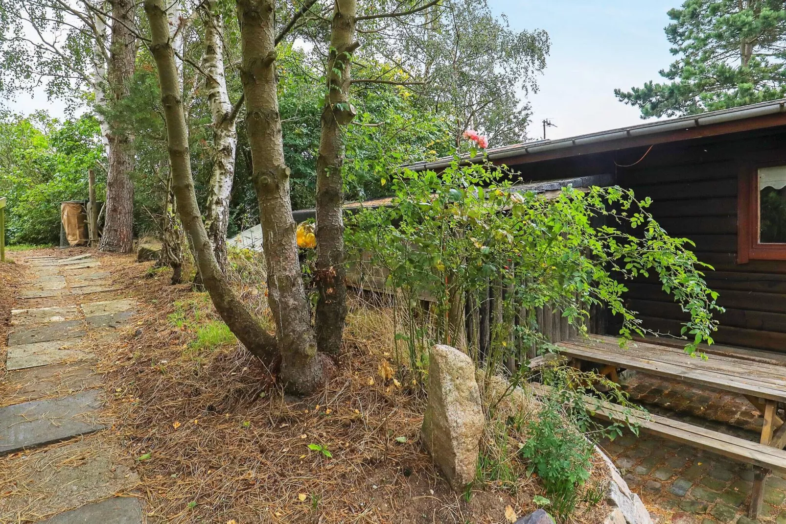6 Personen Ferienhaus in Rudkøbing-By Traum