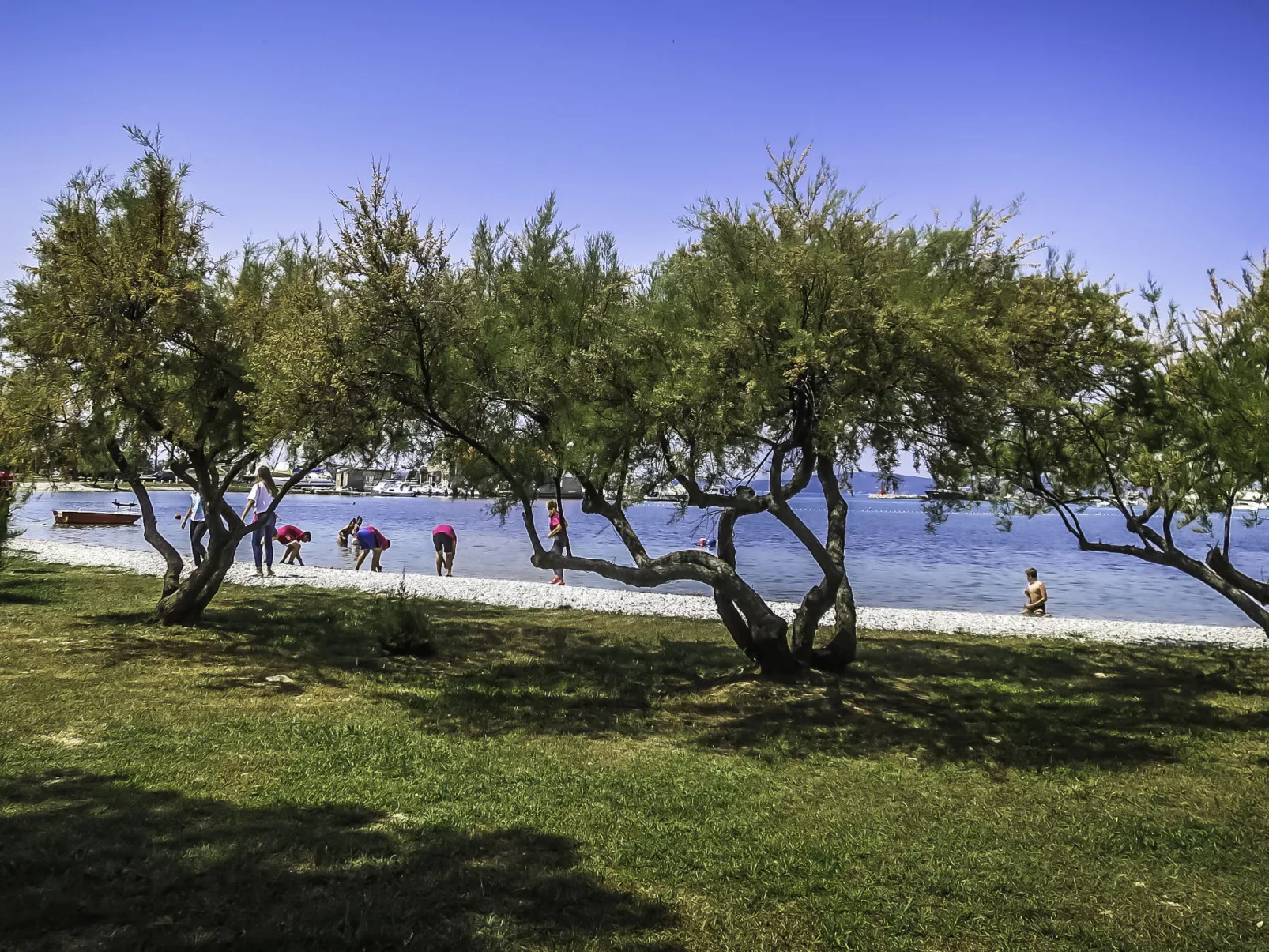 Beach Feelings-Area