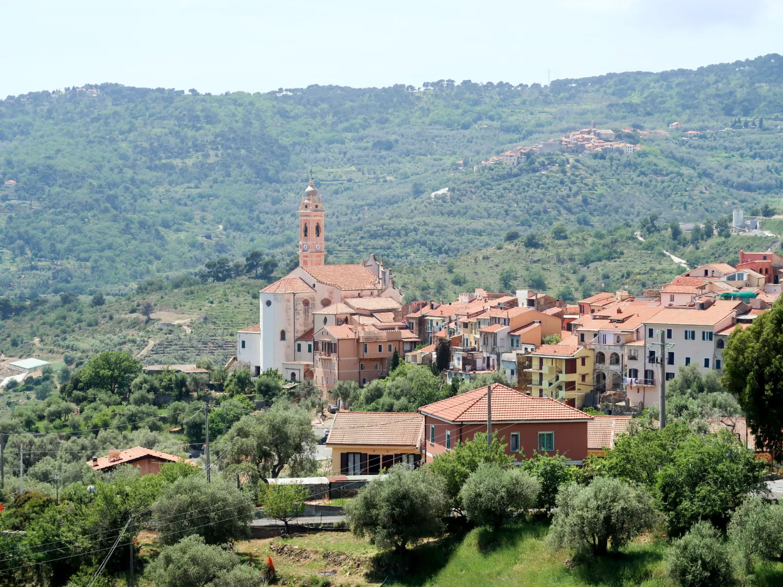 Samuele-Area