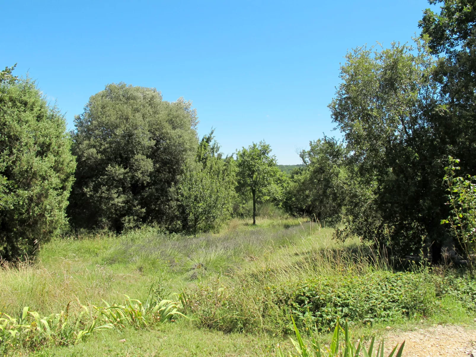 Le Moulin de Verfeuil-Outside