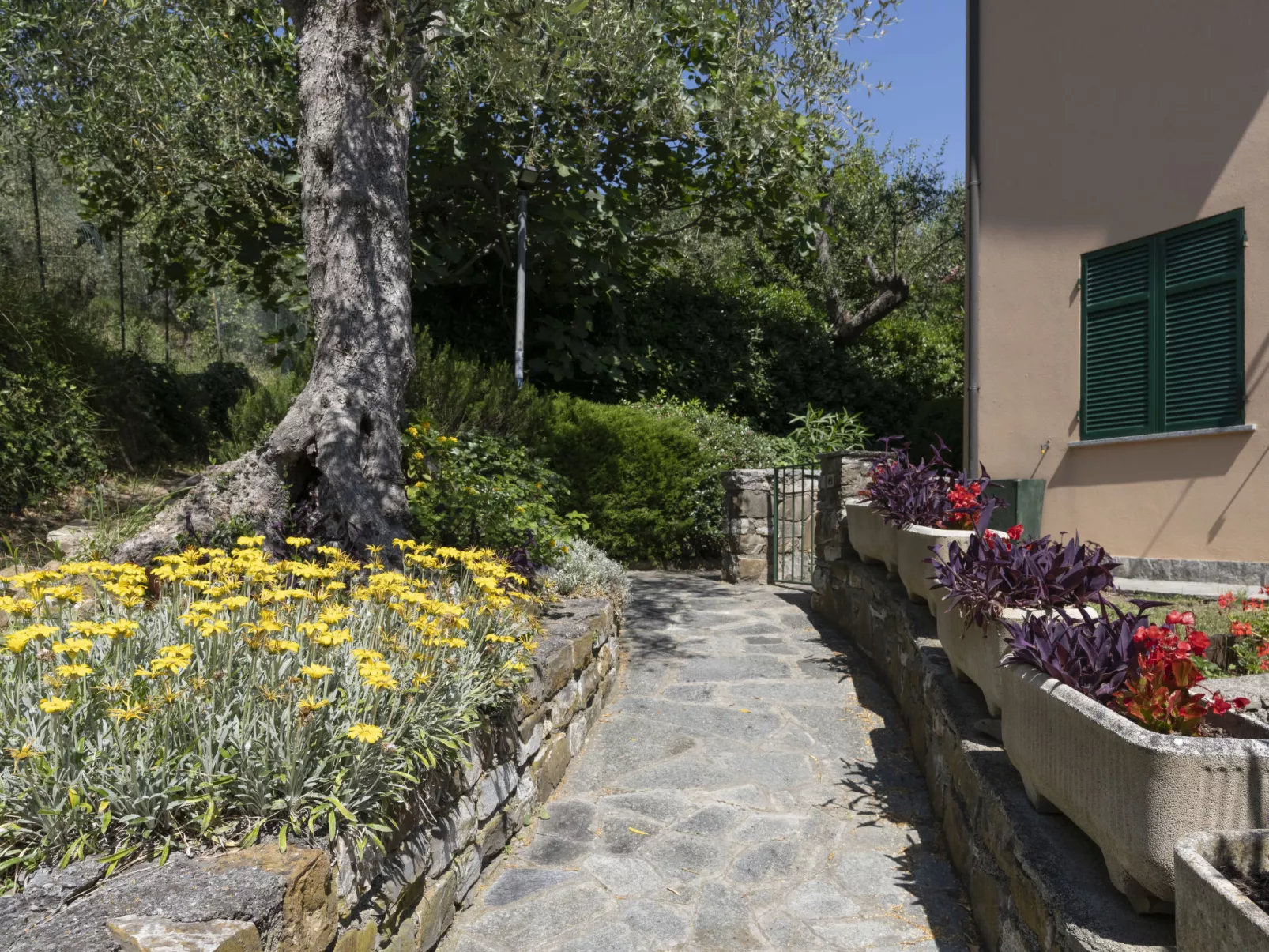 Verde Adagio-Outside