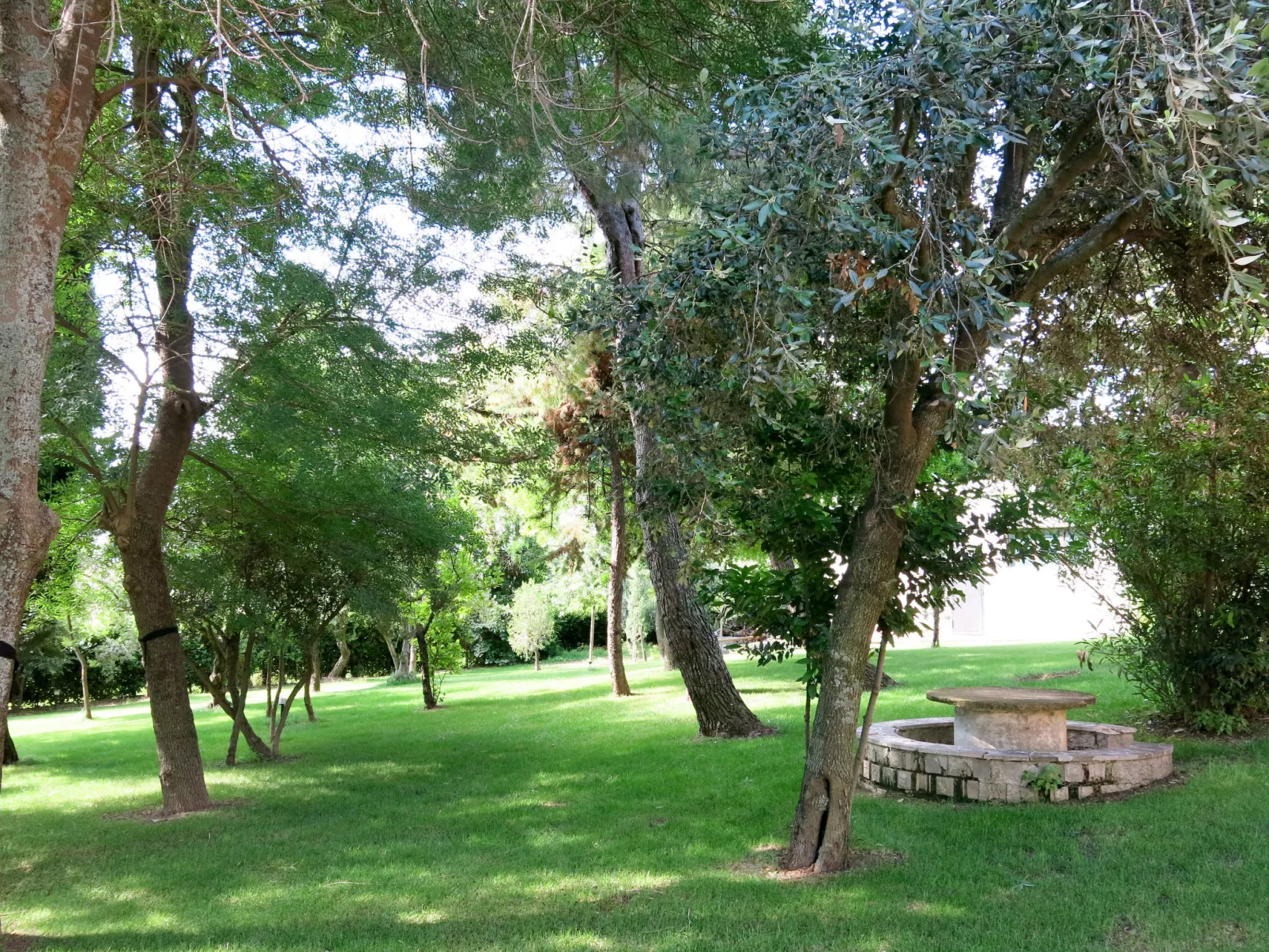 Casale Vidorni-Dehors
