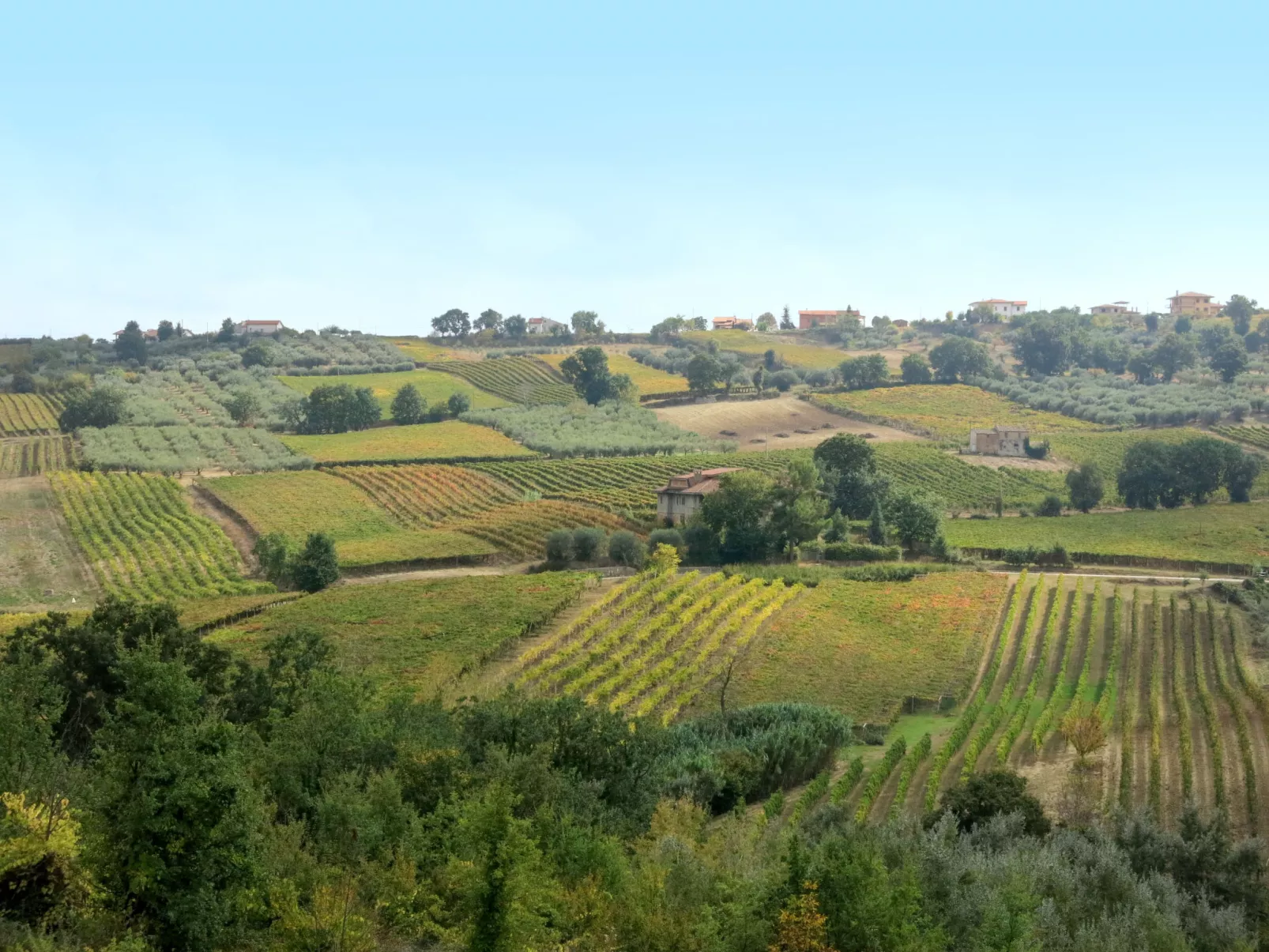 Casale Vidorni-Environnement