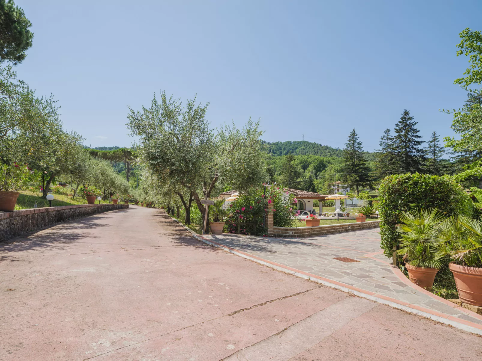 Versilia Holiday-Dehors