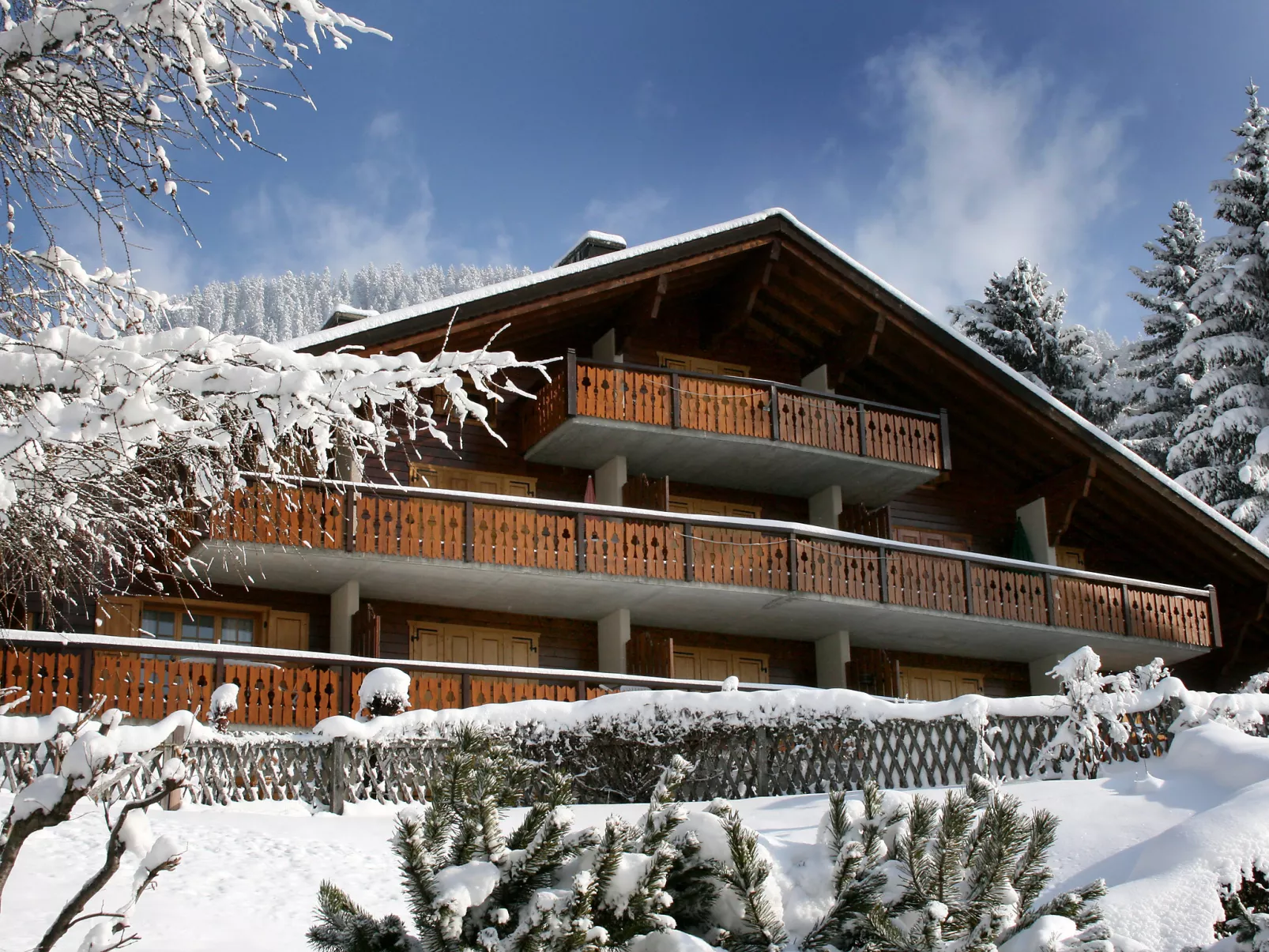 Sapin Bleu 5-Outside