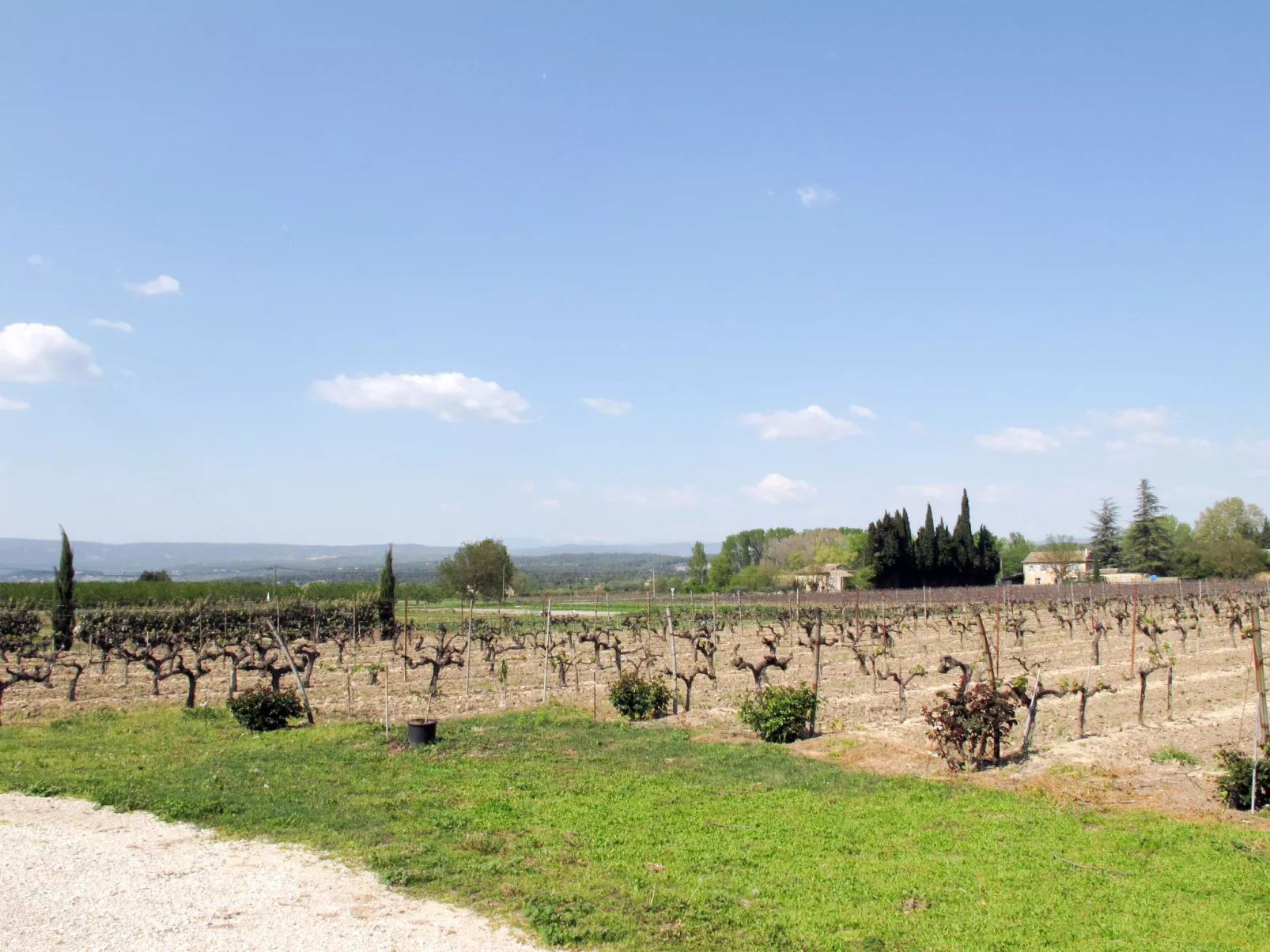 Les Vignes-Outside