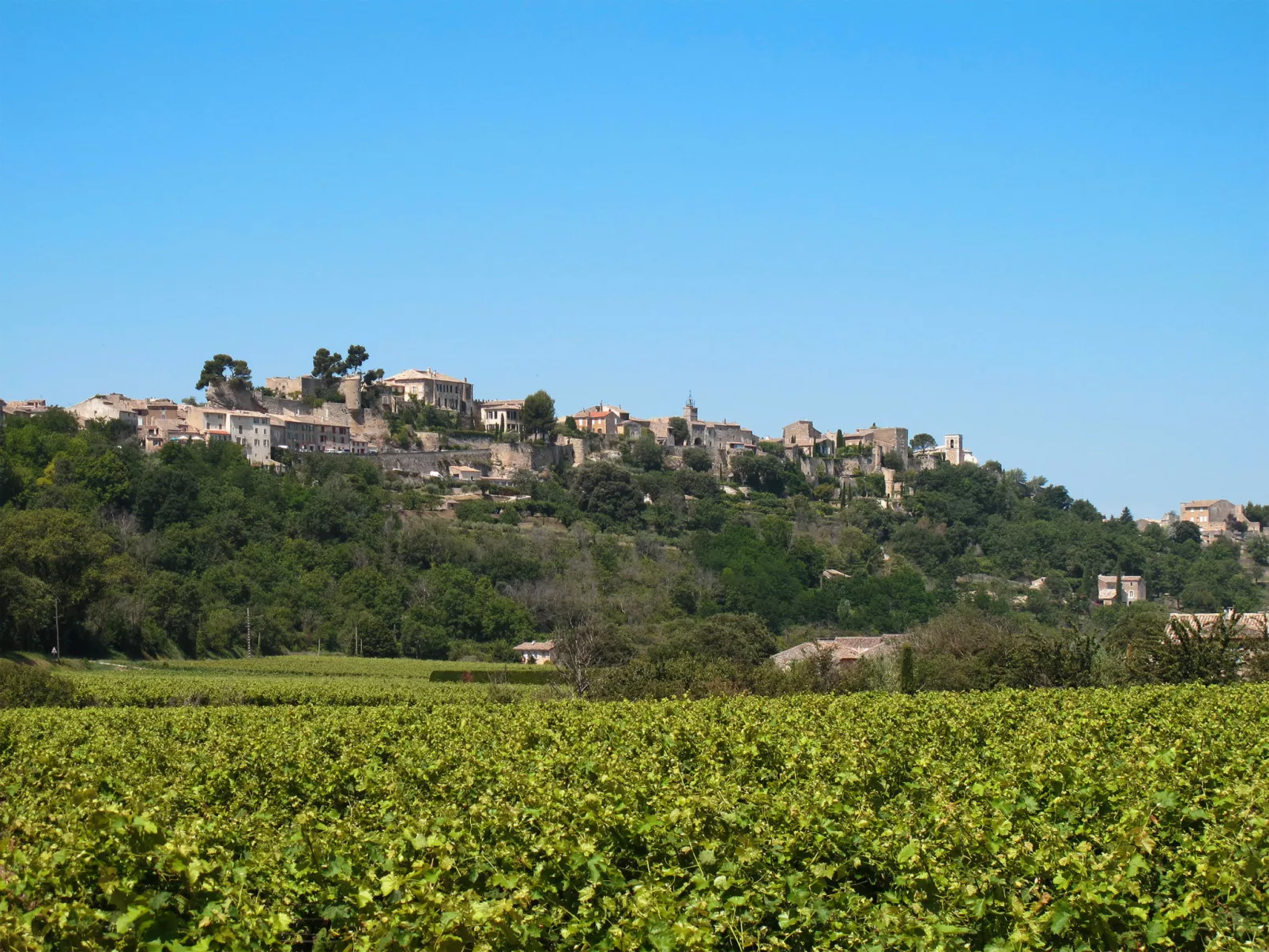Les Vignes-Area