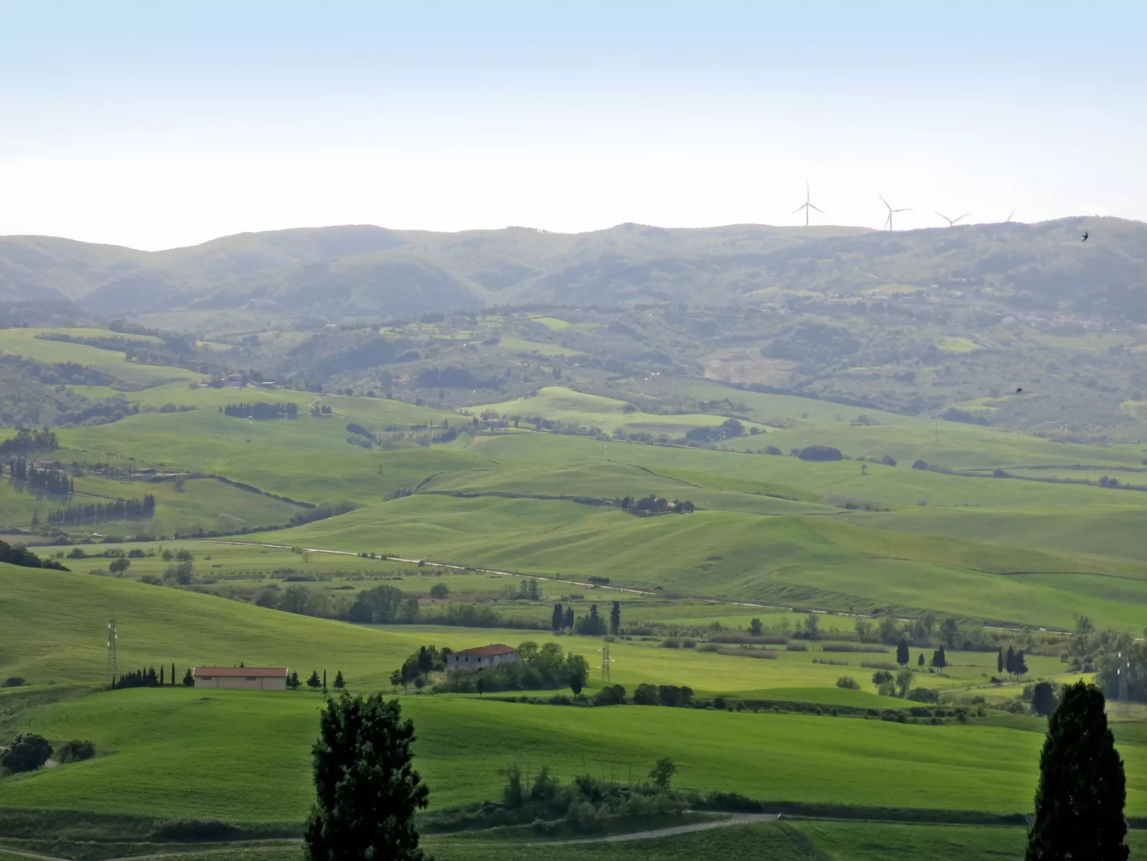 Casanuova - Caciaia (LAI131)-Area