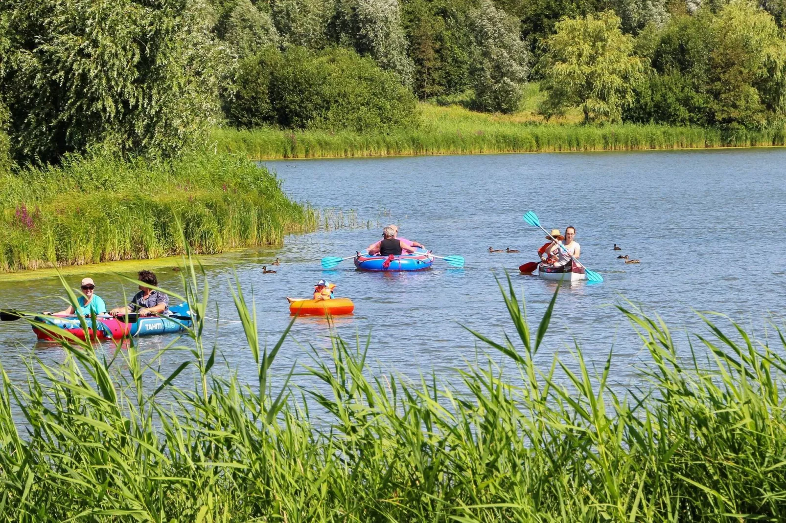 V135 SW-Wasserblick