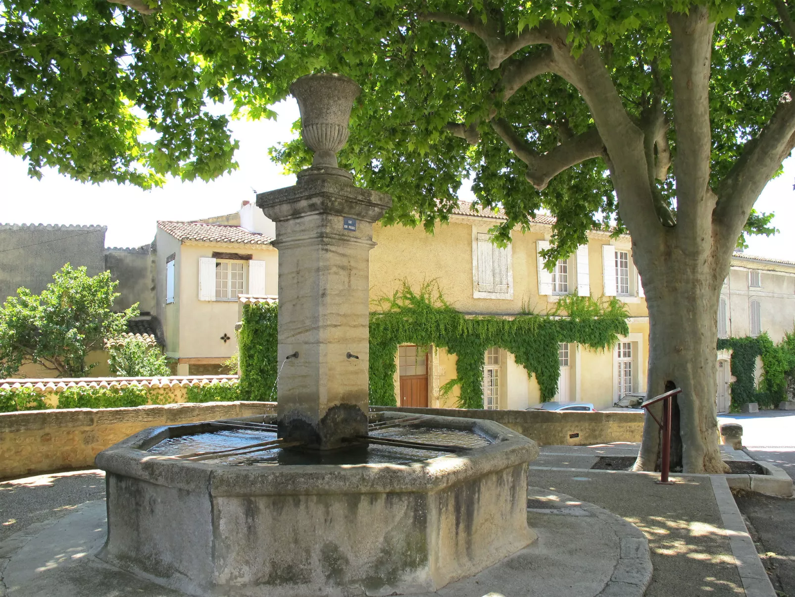 Le Platane-Area