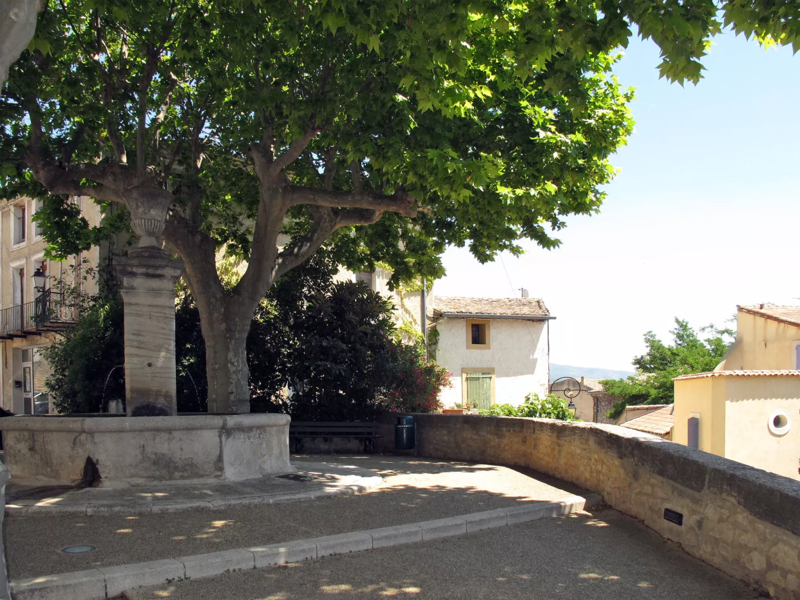 Le Platane-Area