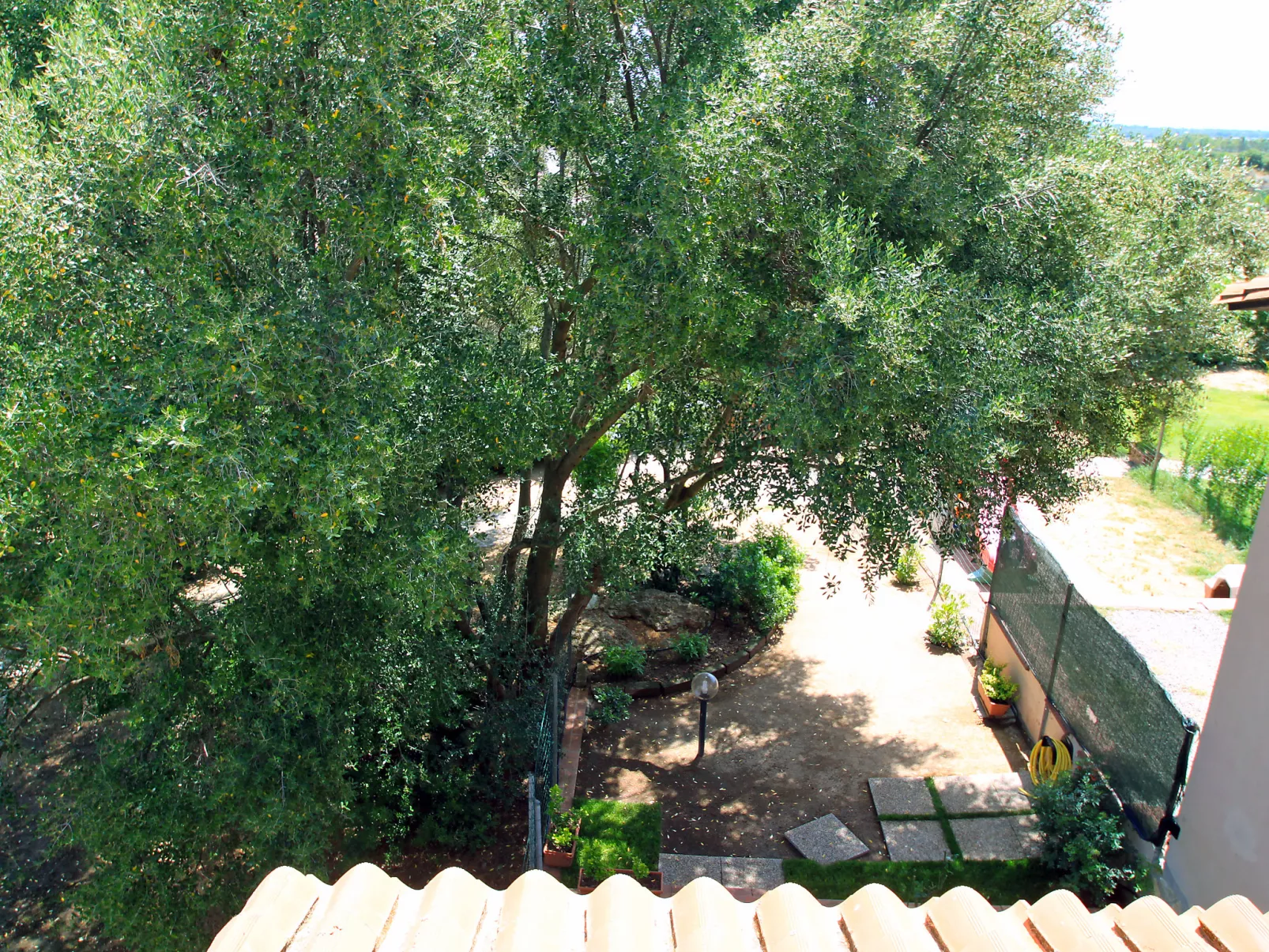 Is Molas-Outside
