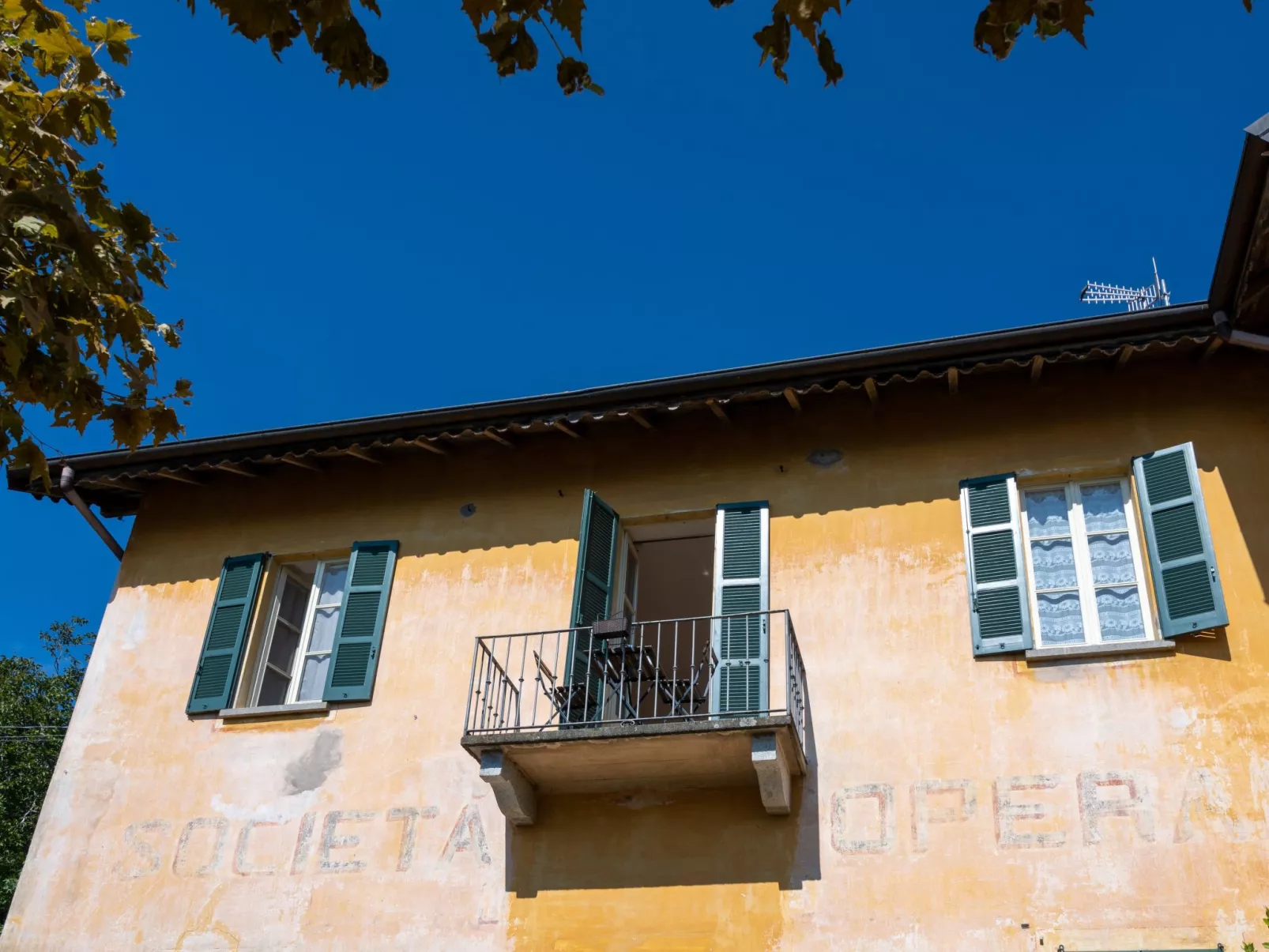 Vittoria