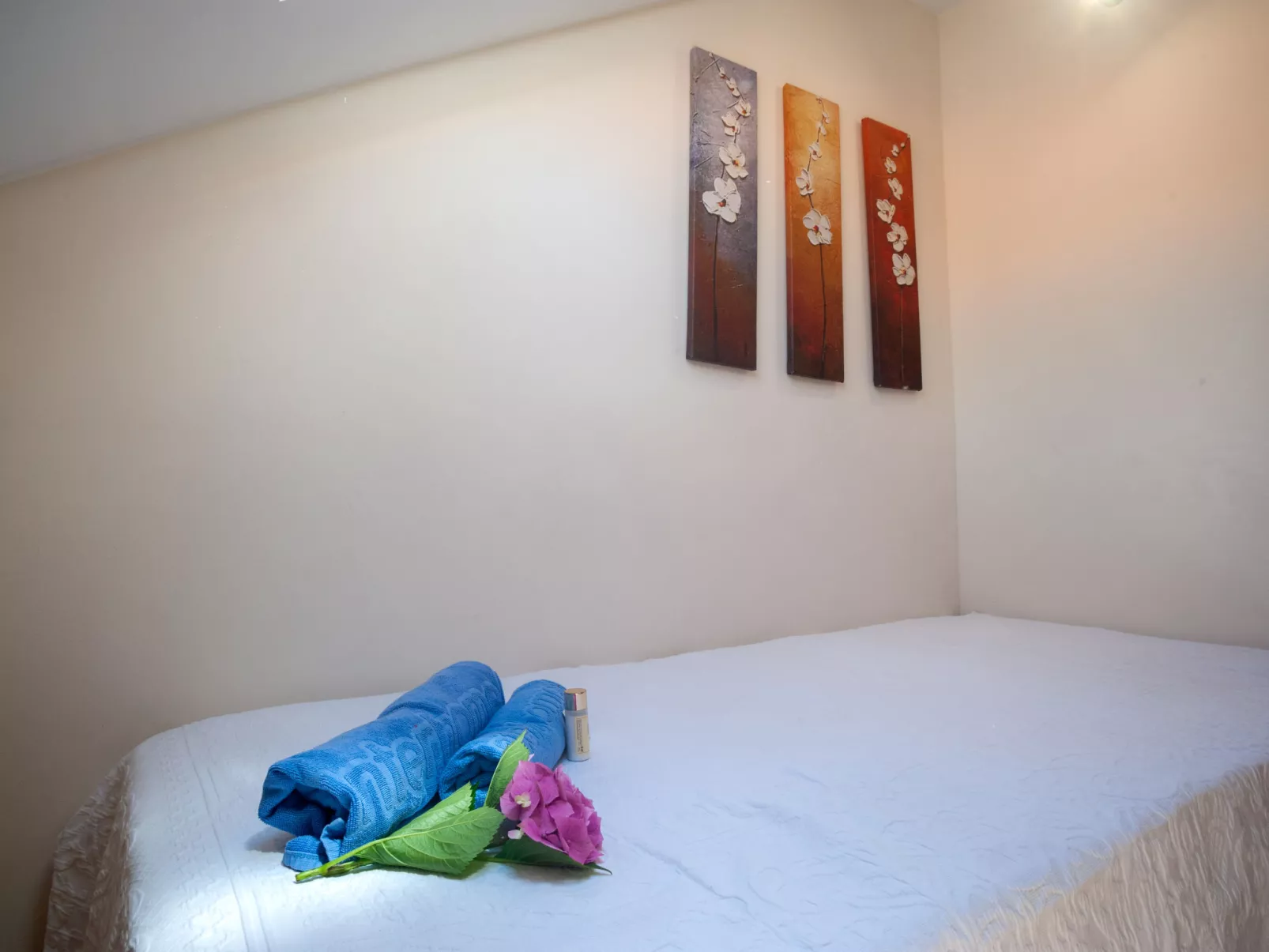 Duplex Embaixador-Dedans
