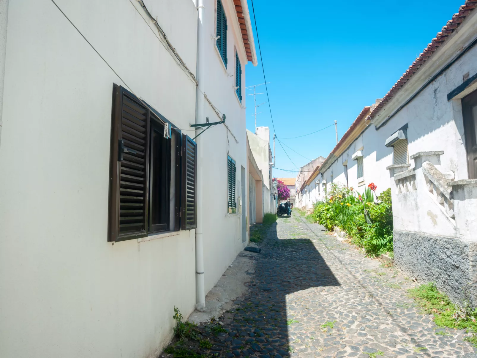 Duplex Embaixador-Dehors