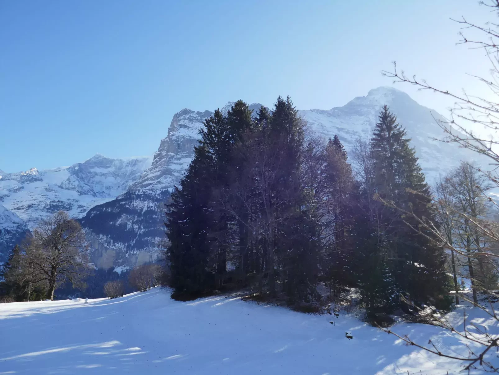 Chalet Blaugletscher-Outside