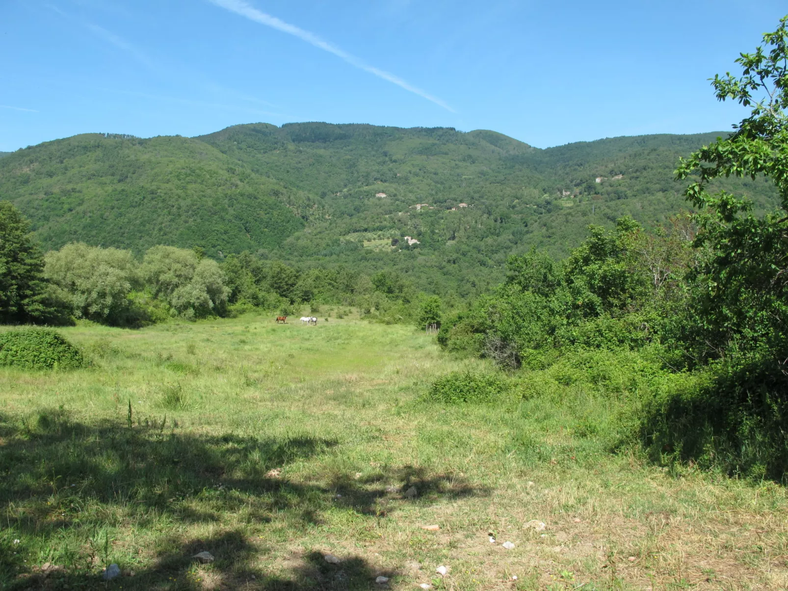Arco-Dehors