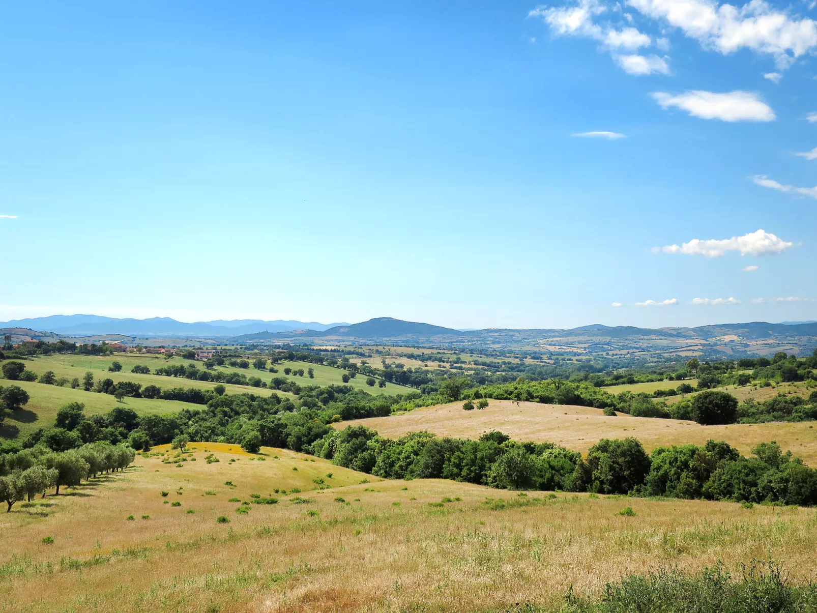 Ginestra-Draußen