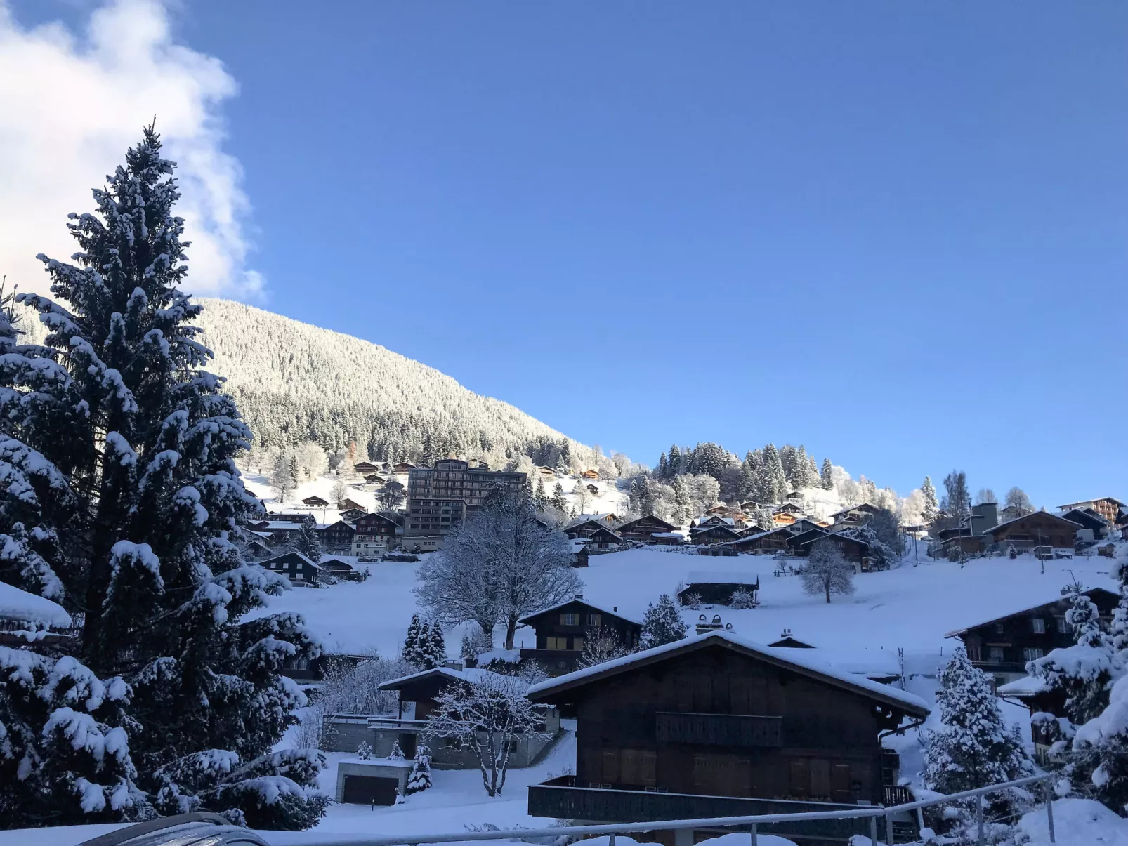 Chalet Anna-Draußen
