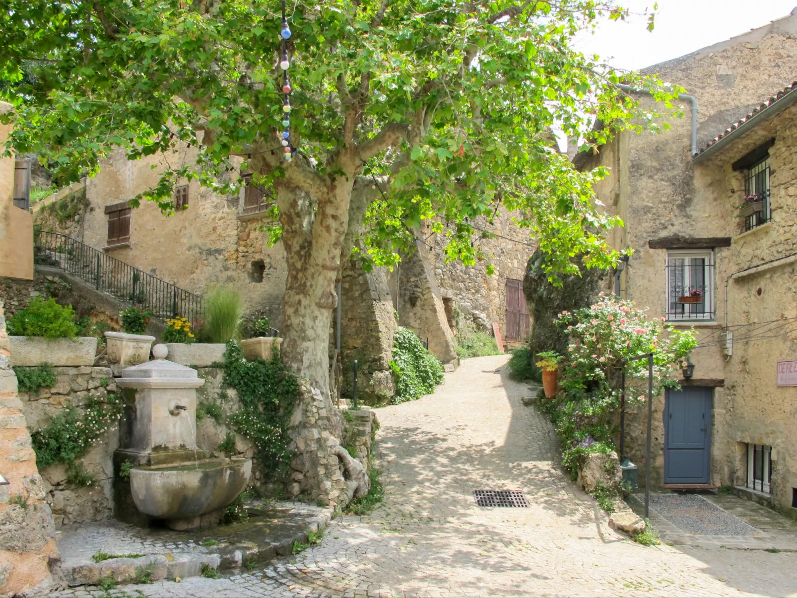 Le Mas du Magnoglia-Area