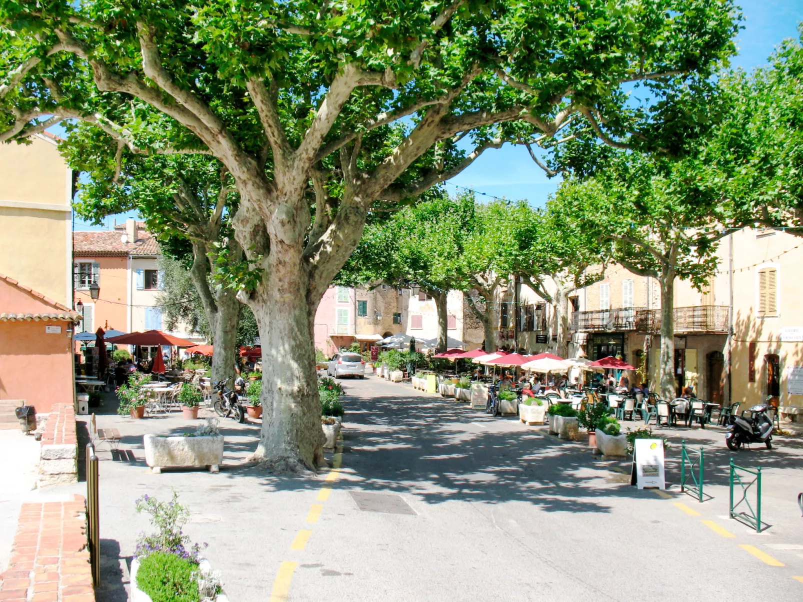 Le Mas du Magnoglia-Area