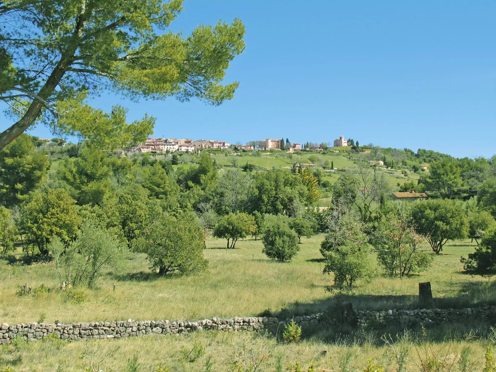 Le Mas du Magnoglia-Area