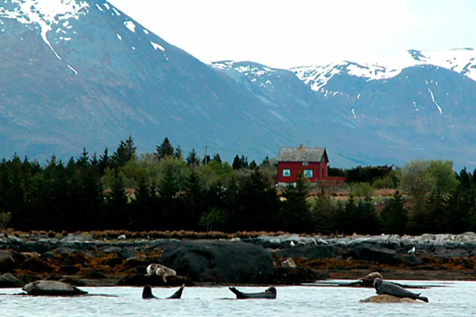 11 person holiday home in Fjørtoft-By Traum-Not tagged