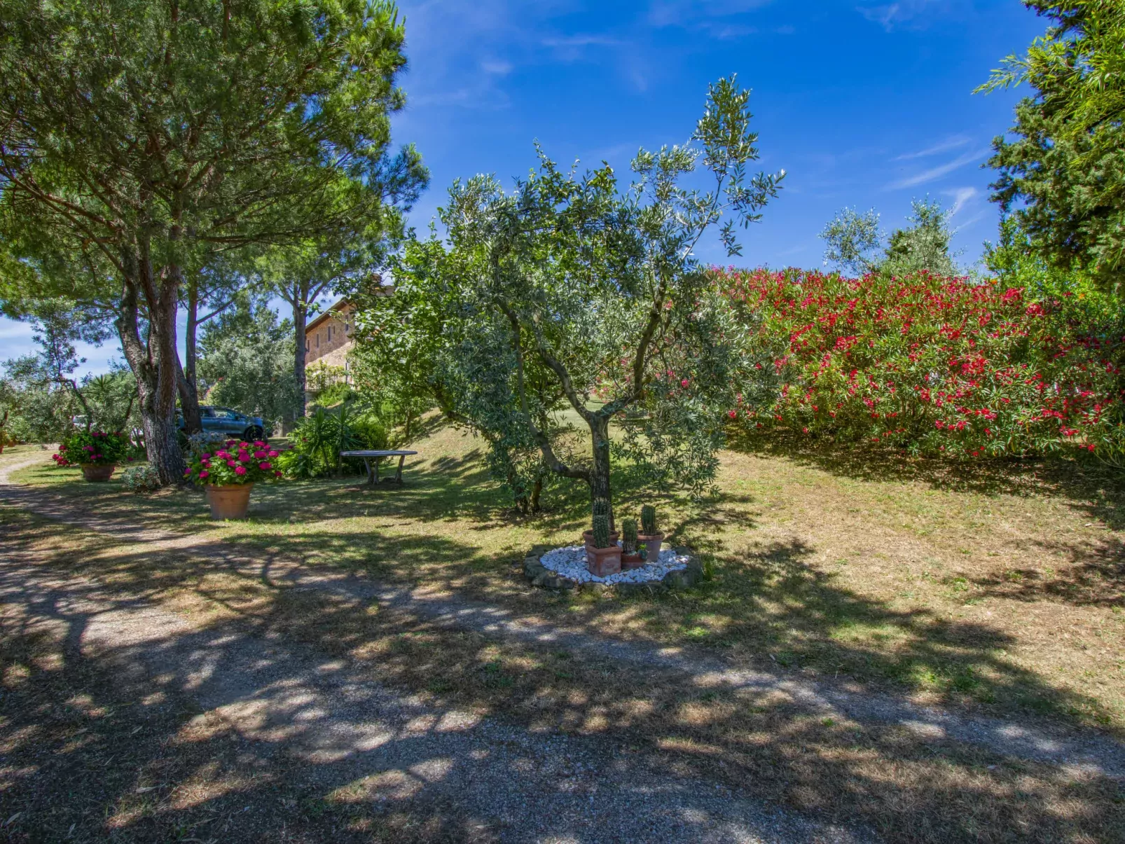 Casa Bensa-Outside