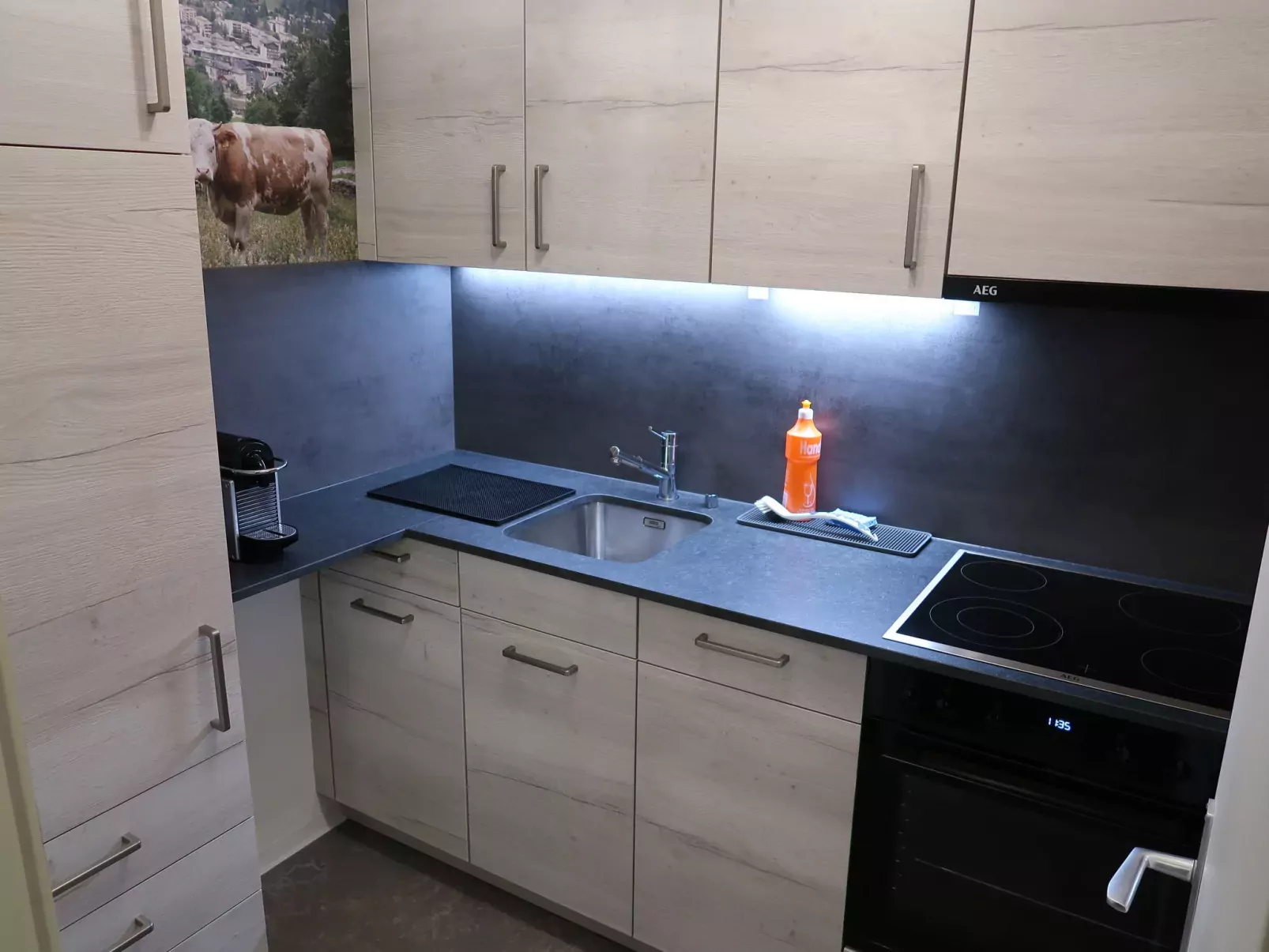Ringstrasse Apt 213